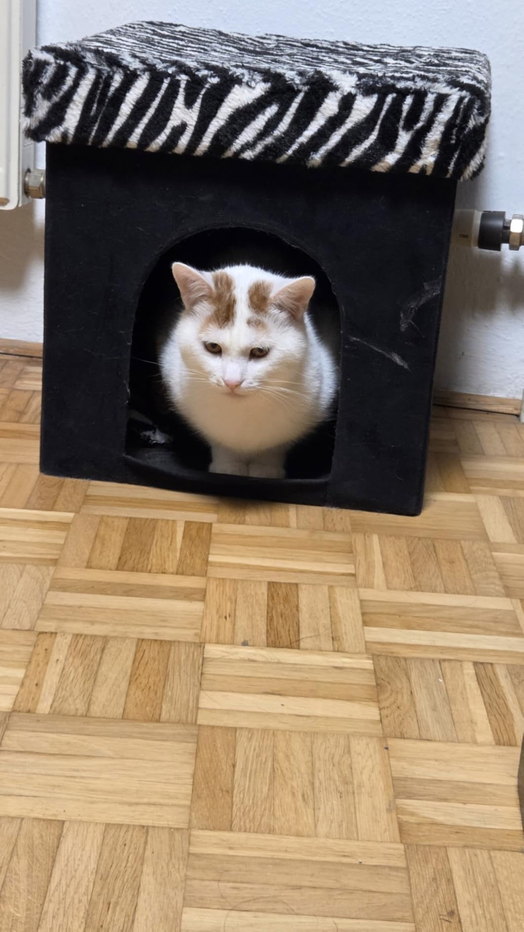 Lavé à 30°