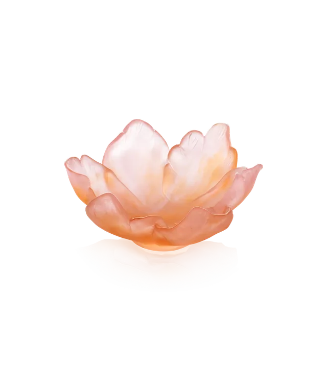 daum-univers-v-g-tal-tulipe-coupelle-ambre-rose-125-ex image 1