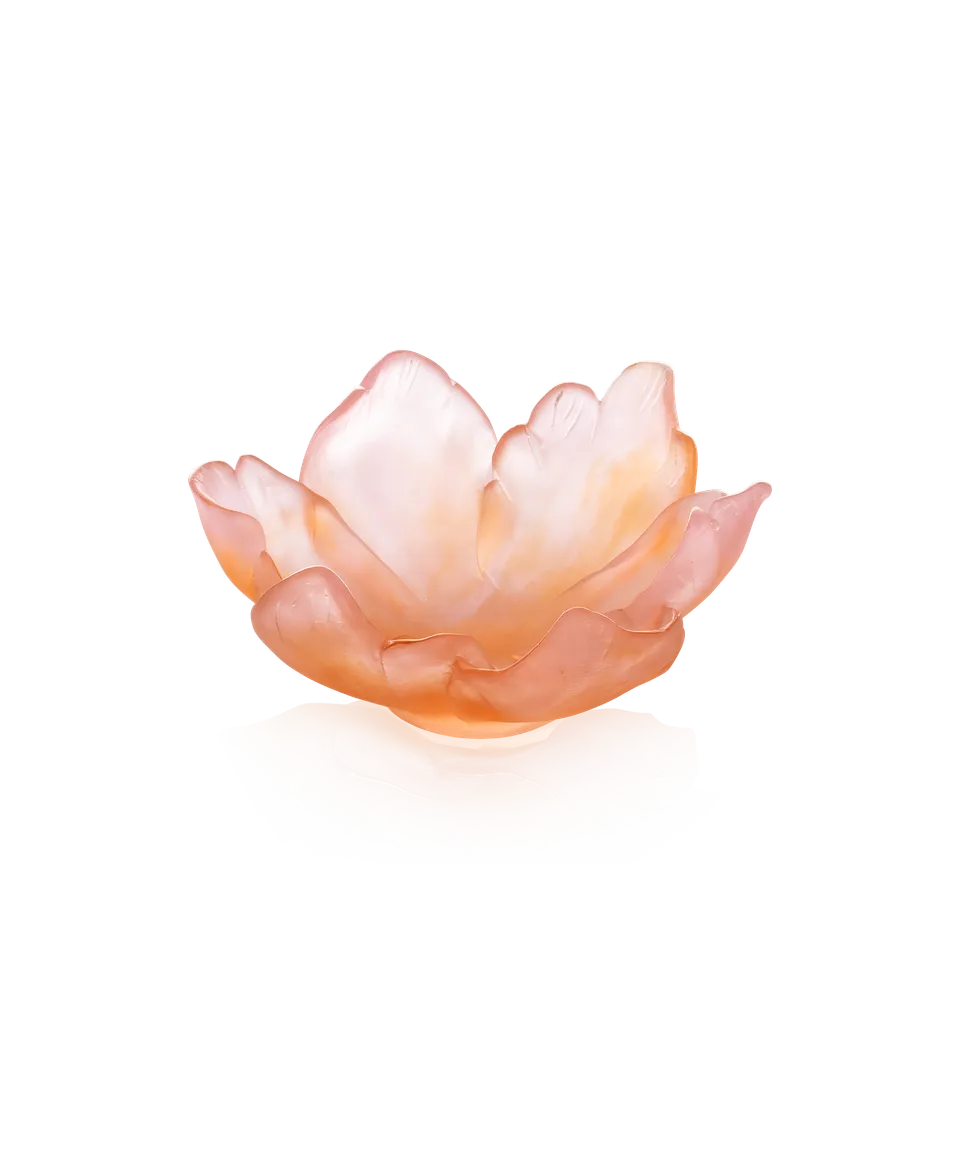 daum-univers-v-g-tal-tulipe-coupelle-ambre-rose-125-ex image 1