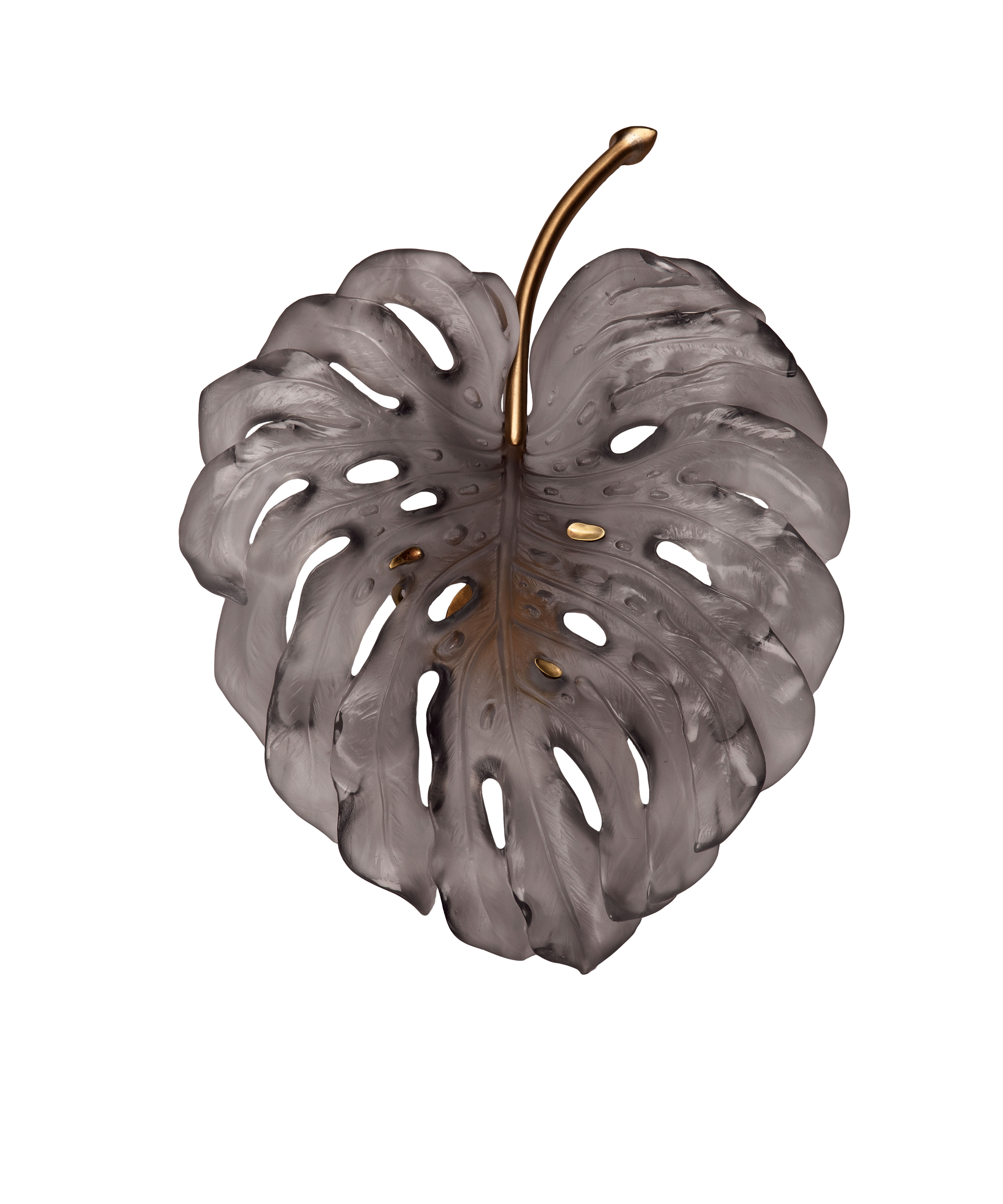 daum-monstera-applique-petit-mod-le-grise-robba image 1