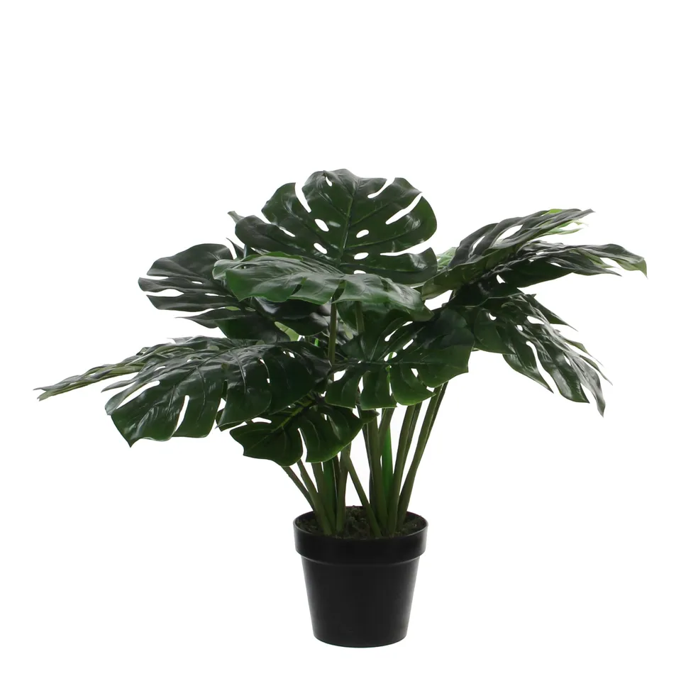 mica-decorations-monstera-plante-artificielle-h60-x-80-cm-en-pot image 1