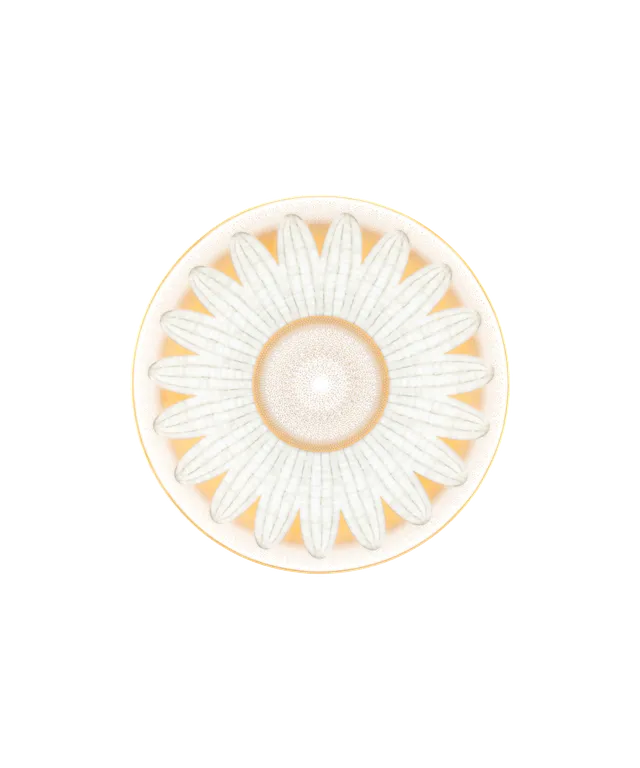 daum-or-d-abeille-coffret-2-assiettes-pain-porcelaine image 1