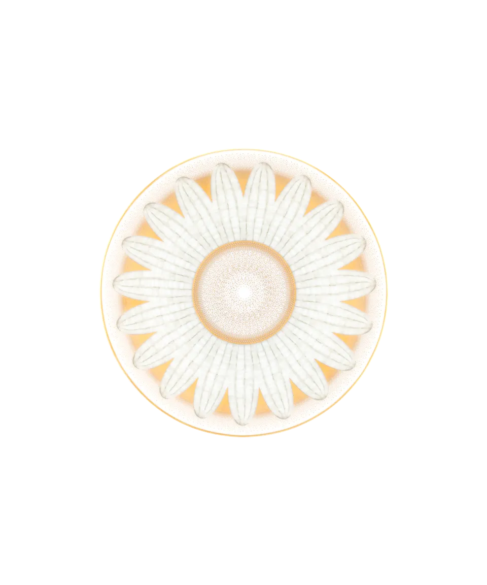 daum-or-d-abeille-coffret-2-assiettes-pain-porcelaine image 1