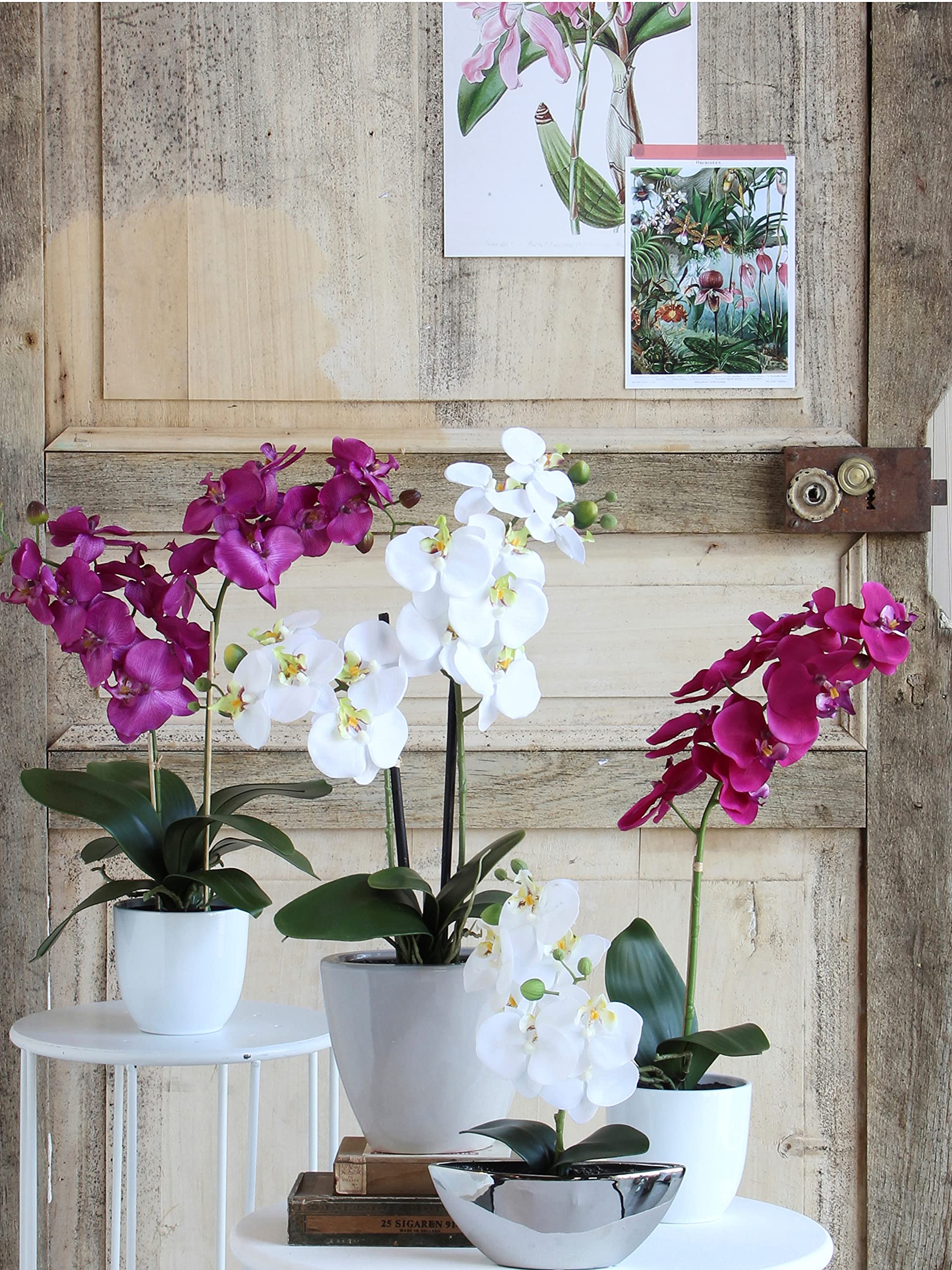 mica-decorations-phalaenopsis-orchid-e-artificielle-cr-me-66-cm image 5