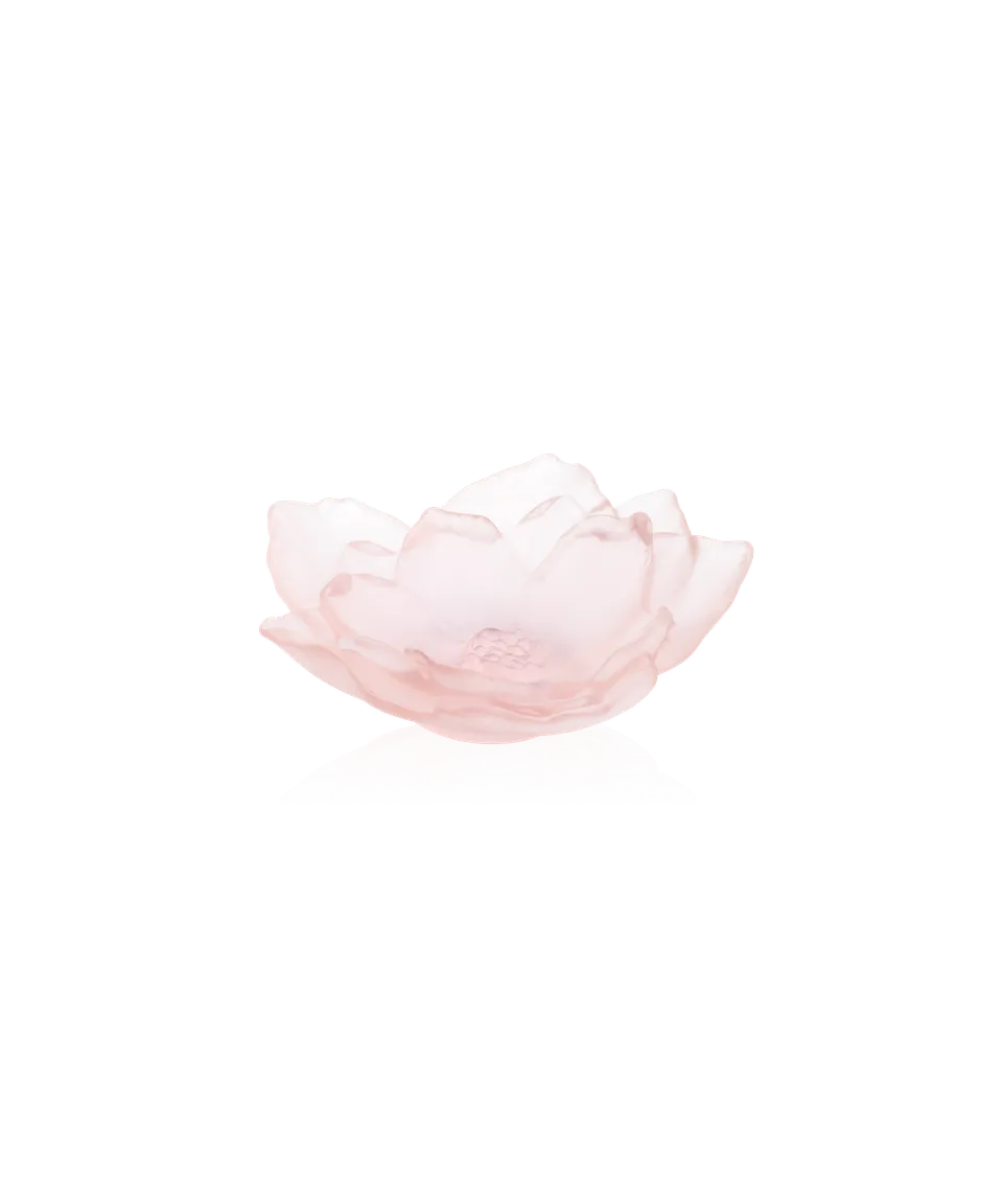 daum-univers-v-g-tal-camelia-coupe-rose-petit-mod-le image 1