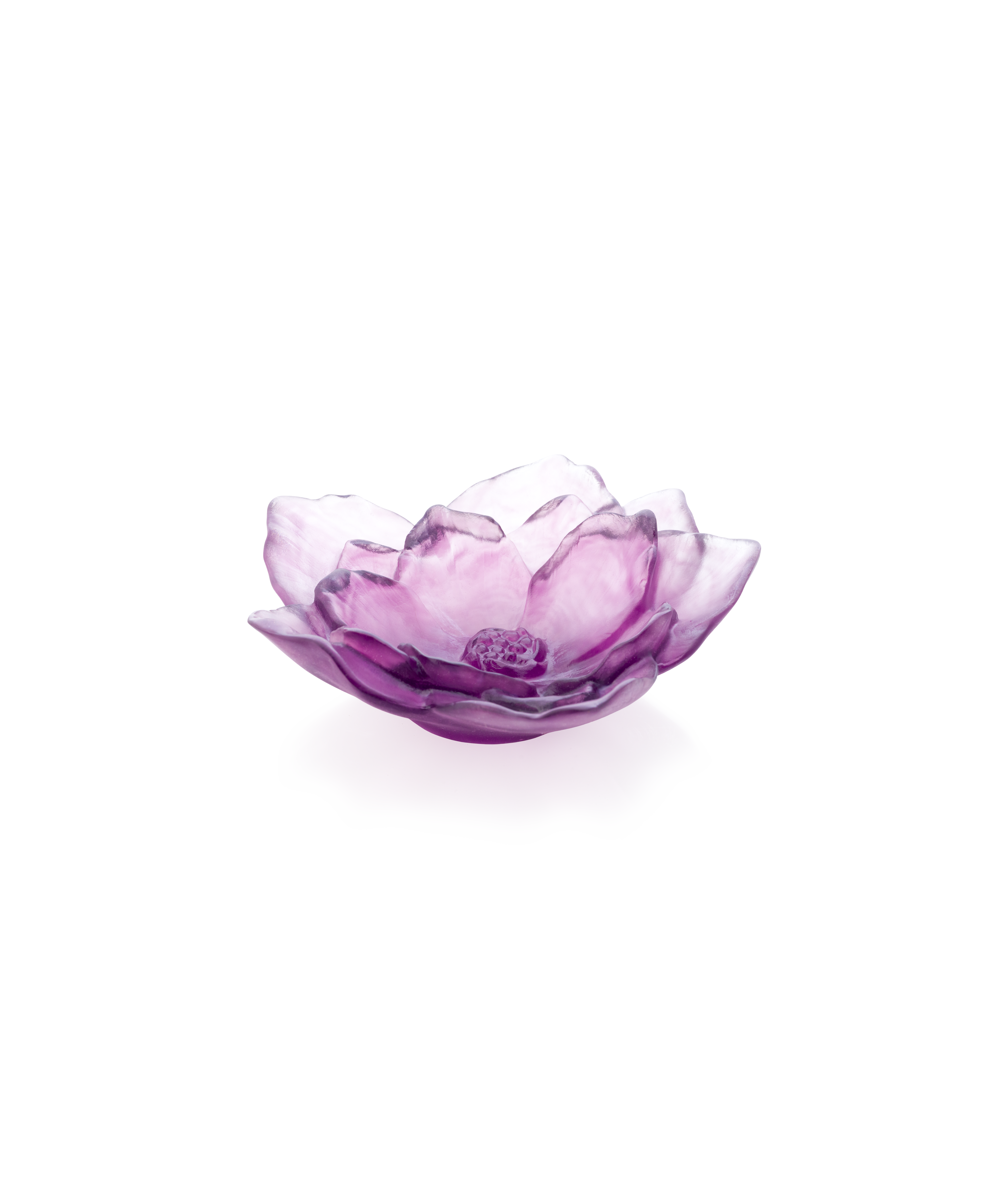 daum-camelia-coupe-petit-mod-le-violette-p-te-de-verre image 1