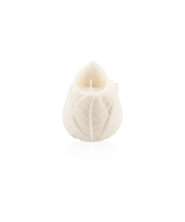 daum-d-coration-cristal-coffret-2-bougies-sculpt-es-v-g-tale image 1