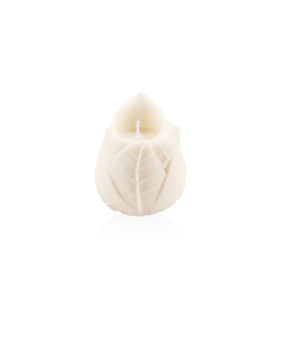 daum-d-coration-cristal-coffret-2-bougies-sculpt-es-v-g-tale image 1