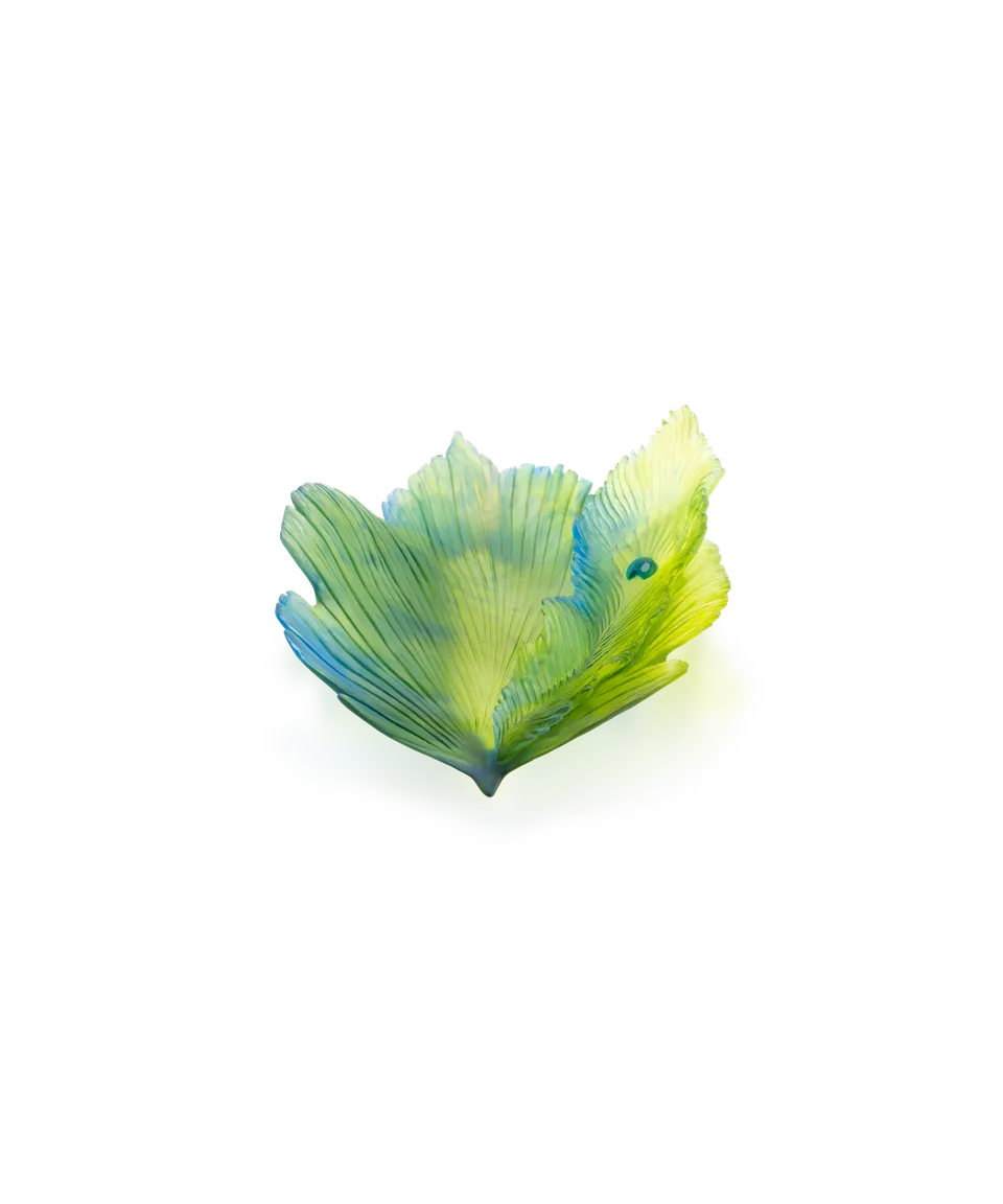 daum-univers-v-g-tal-fleur-de-paon-exotique-coupe-moyen-mod-le image 1