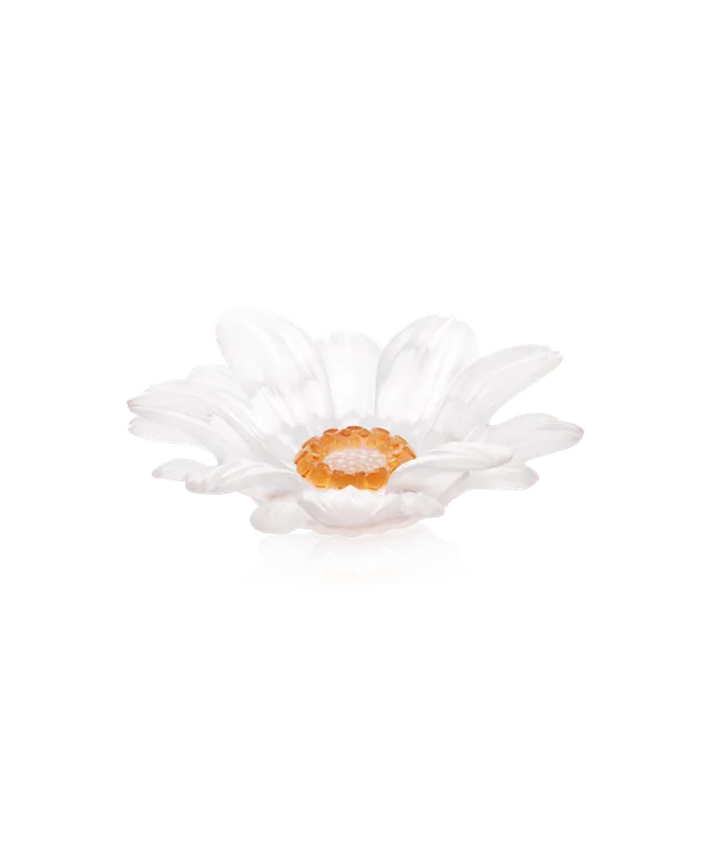 daum-art-de-la-table-or-d-abeille-fleur-pr-sentation-pm-blanche image 1