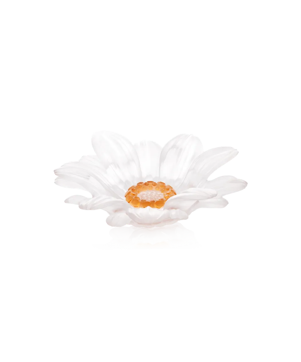 daum-art-de-la-table-or-d-abeille-fleur-pr-sentation-pm-blanche image 1