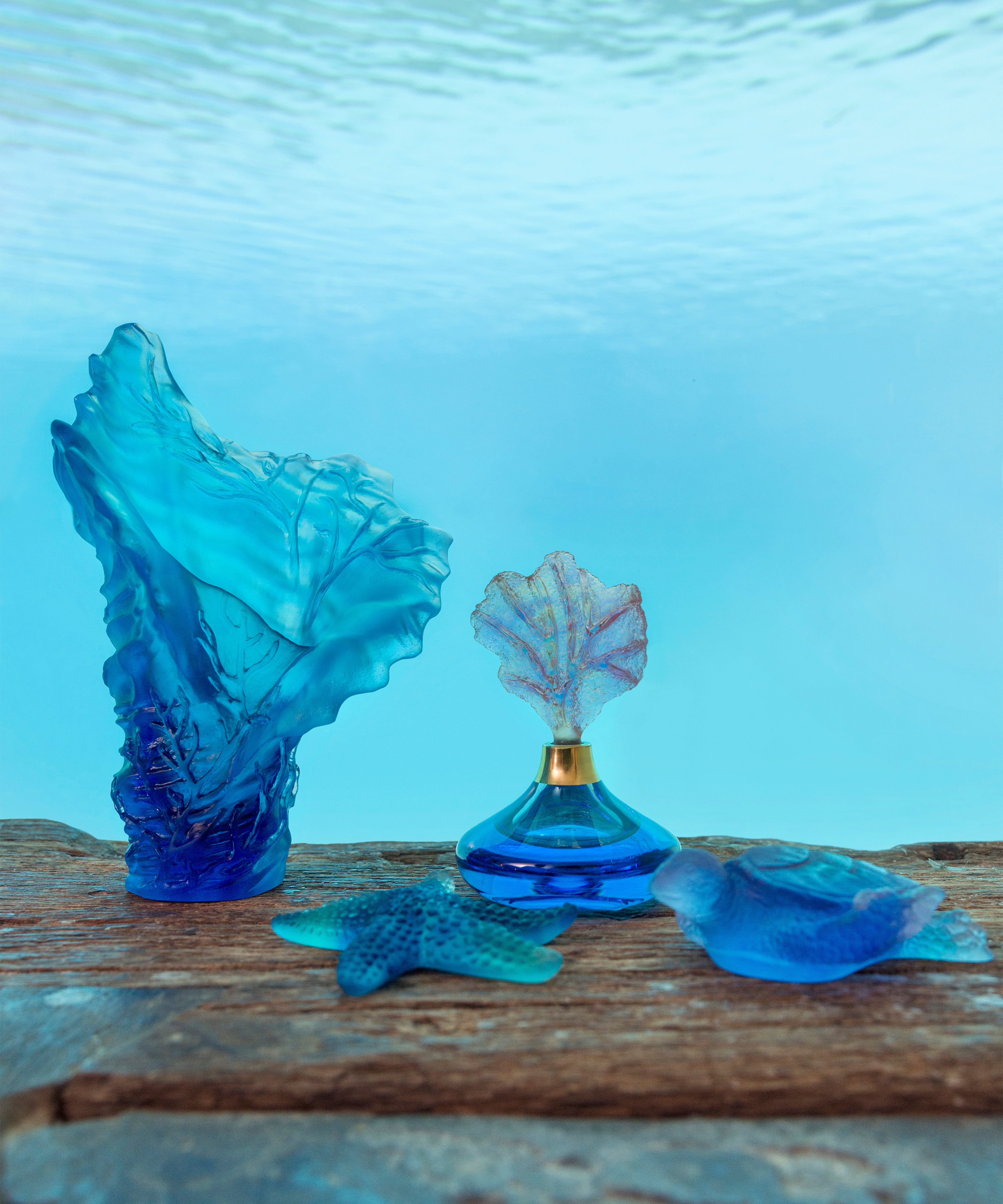 daum-univers-v-g-tal-mer-de-corail-vase-moyen-mod-le-marin image 3