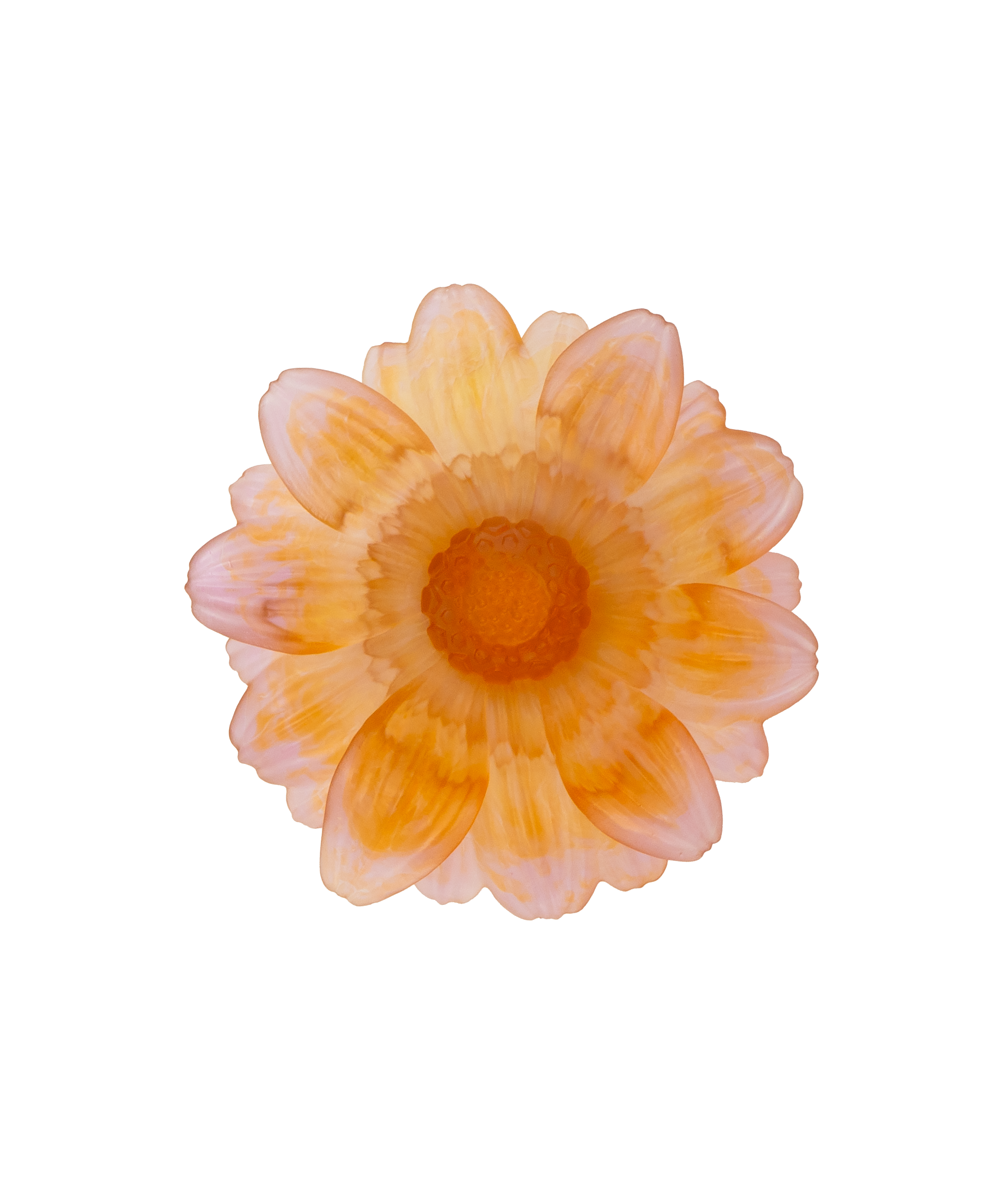 daum-or-d-abeille-fleur-pr-sentation-petit-mod-le image 2