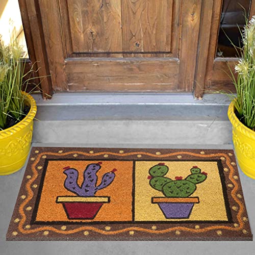 baroni-home-tapis-paillasson-coco-cactus-couleurs-vives-70x40 image 8