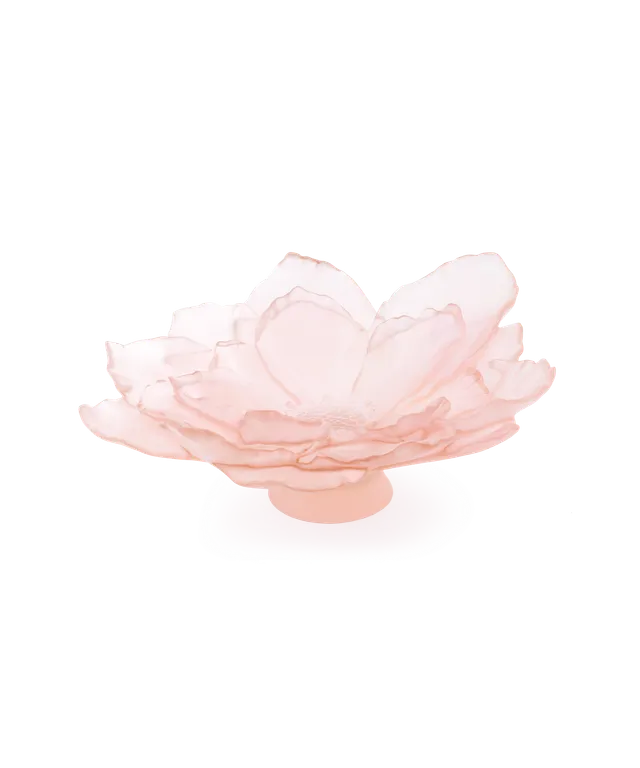 daum-univers-v-g-tal-camelia-coupe-grand-mod-le-rose image 1