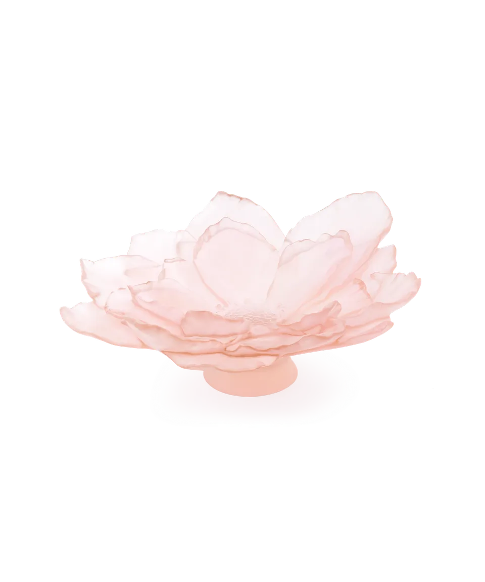 daum-univers-v-g-tal-camelia-coupe-grand-mod-le-rose image 1