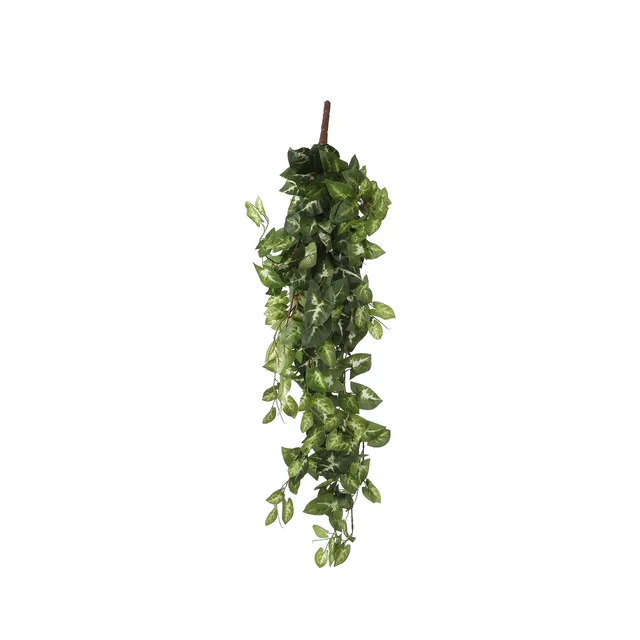mica-fittonia-plante-artificielle-verte-80cm-suspendue image 1
