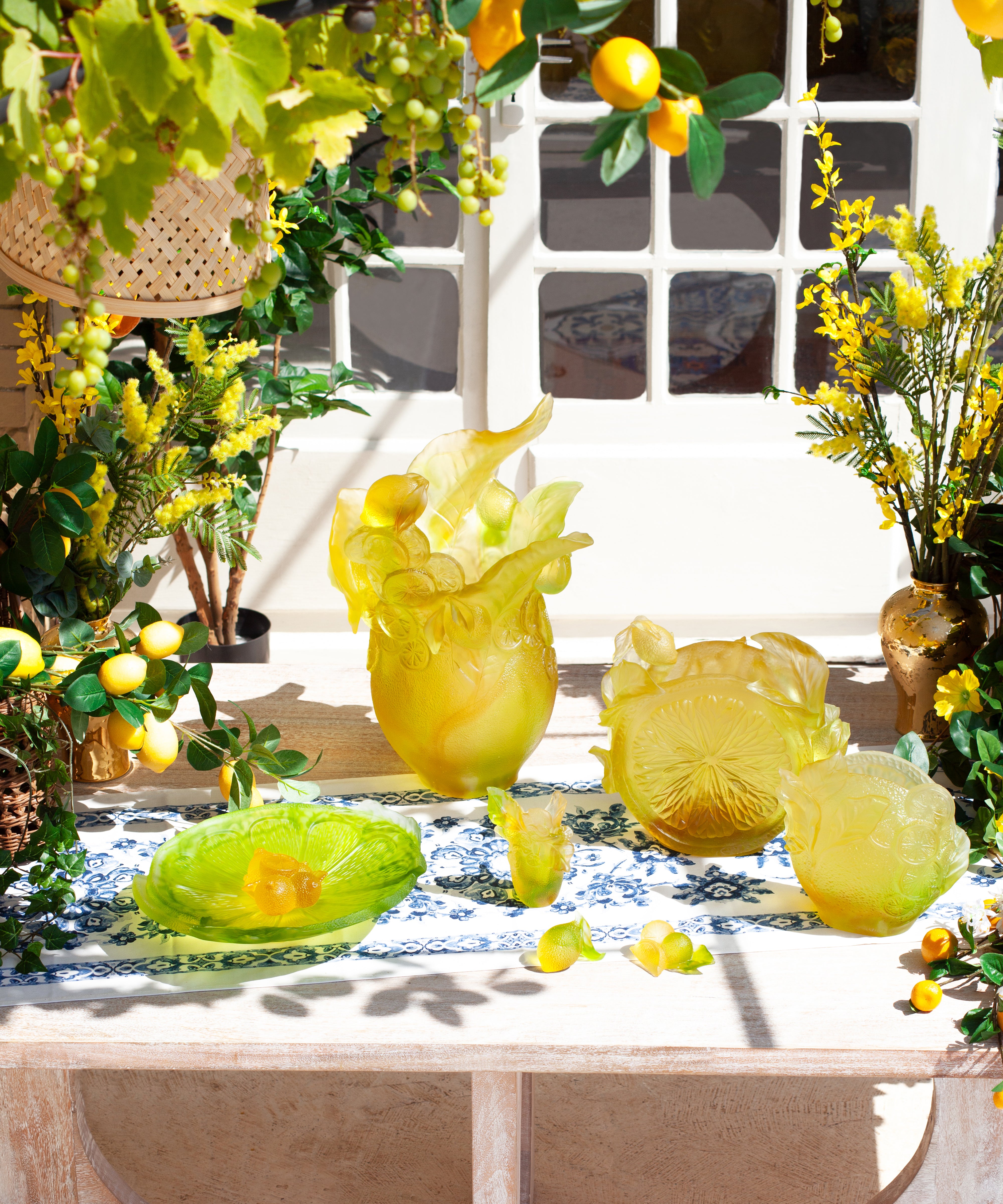 daum-univers-v-g-tal-citrus-composition-d-corative-cristal image 5