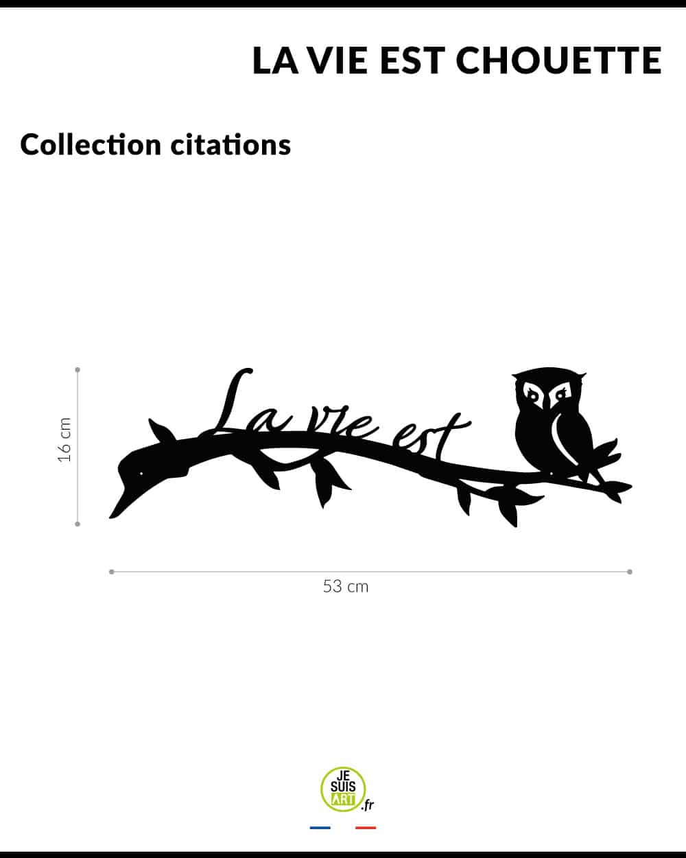 je-suis-art-citations-la-vie-est-chouette-tableau-m-tal image 4