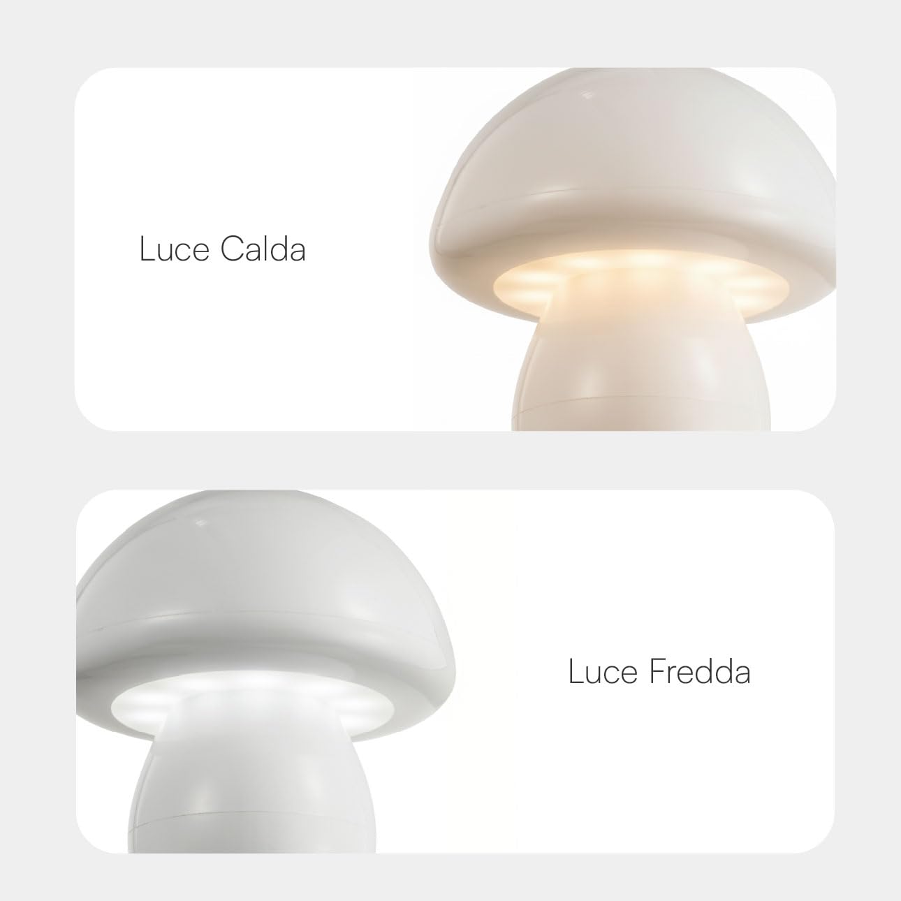 baroni-home-illuminazione-lampe-led-champignon-blanche-usb-c image 5