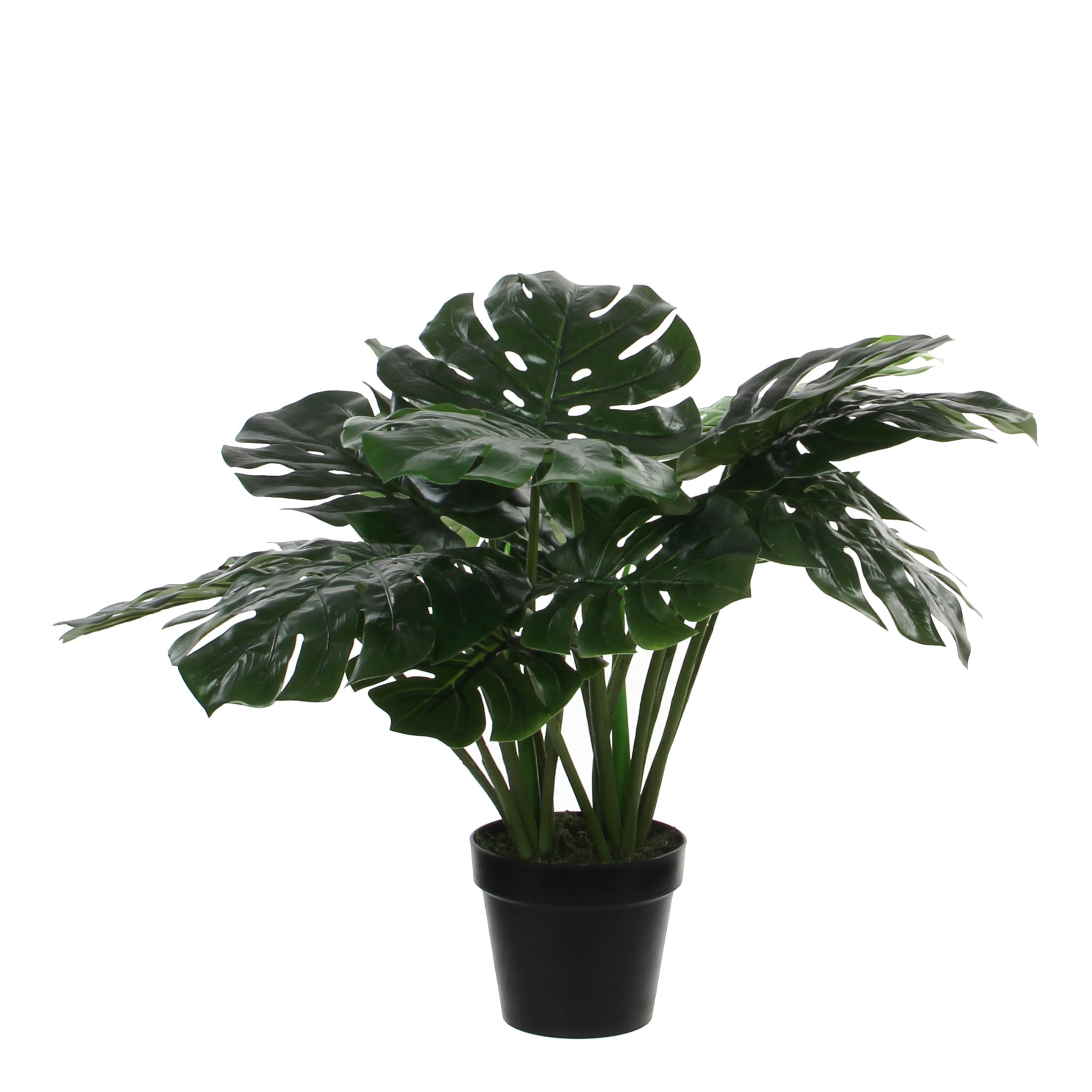 mica-decorations-monstera-plante-artificielle-h60-x-80-cm-en-pot image 1