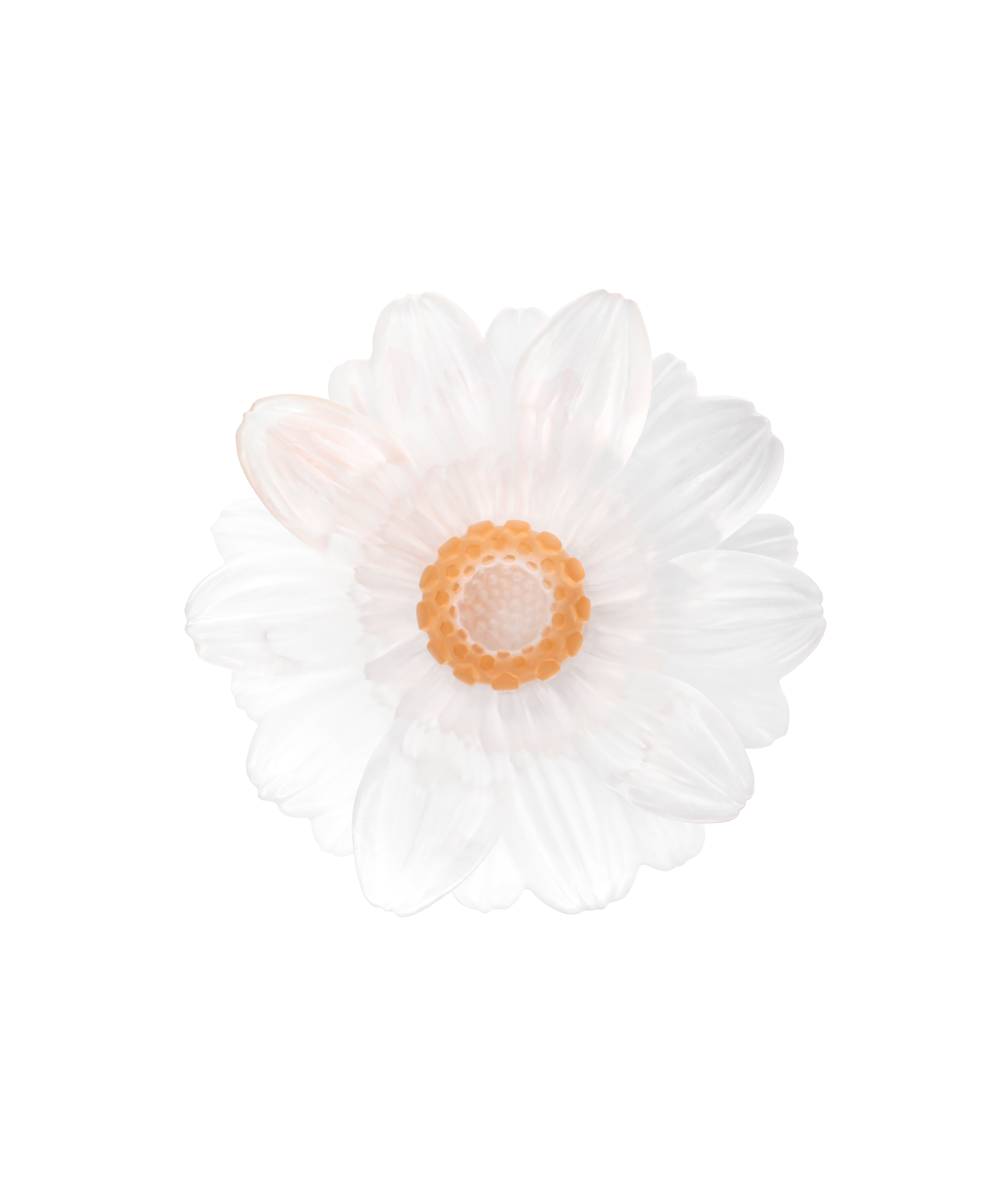 daum-art-de-la-table-or-d-abeille-fleur-pr-sentation-pm-blanche image 2