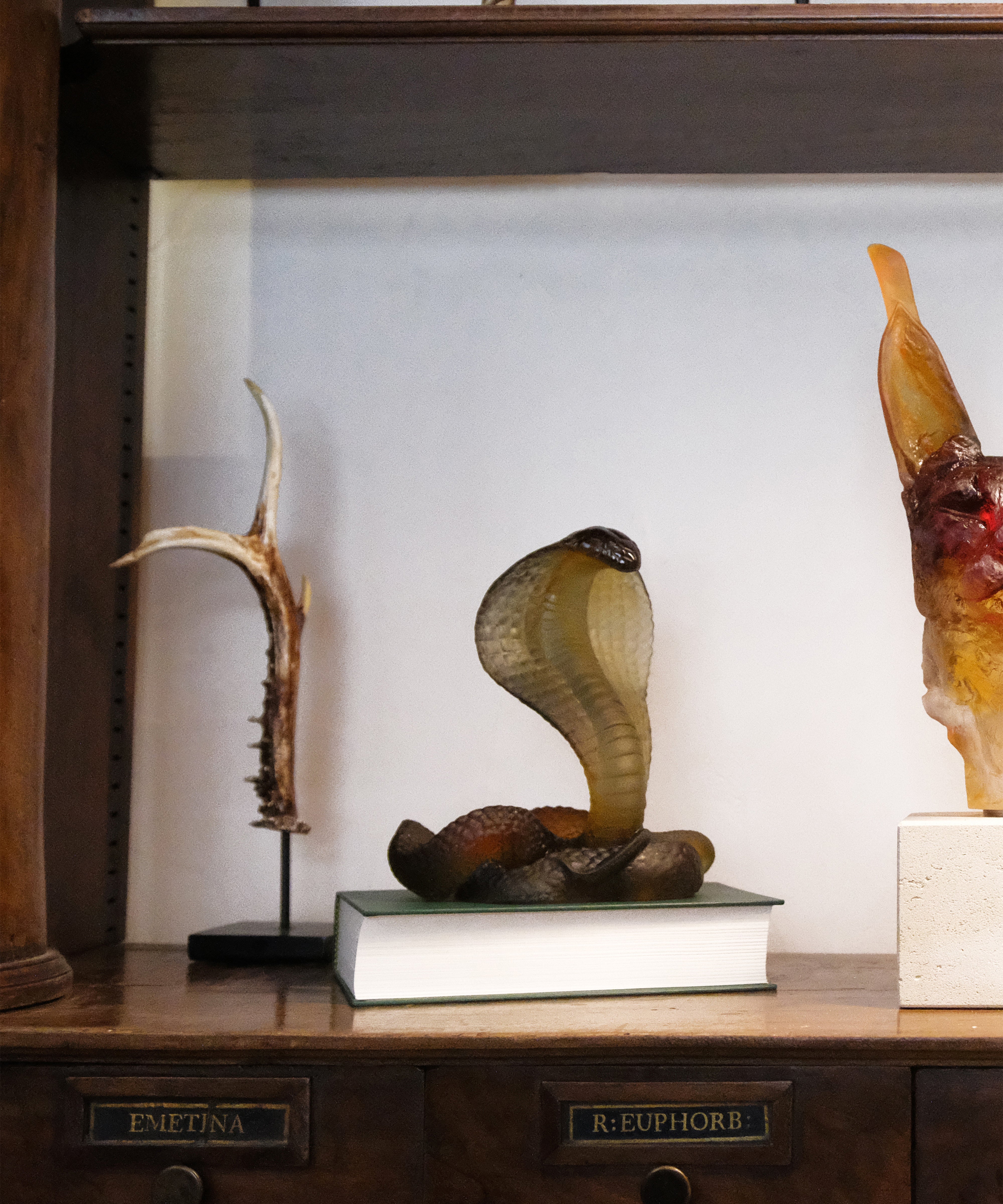 daum-univers-animalier-naja-sculpture-ambre-et-gris-500-ex image 4