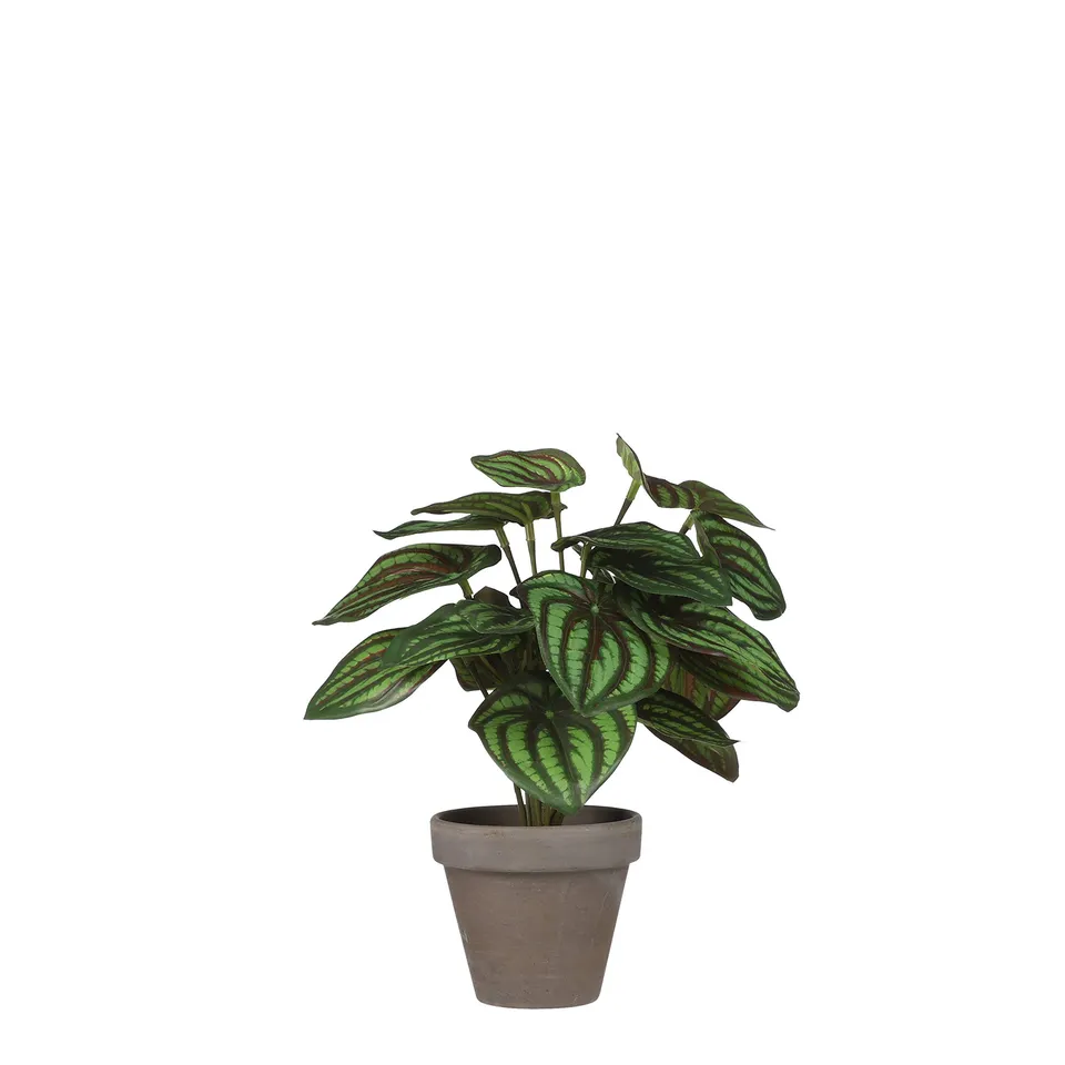mica-decorations-peperomia-plante-artificielle-vert-24-cm image 1