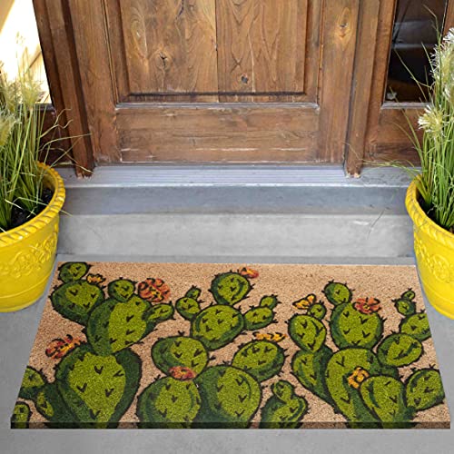 baroni-home-tapis-paillasson-coco-cactus-fleurs-oranges-70x40 image 8