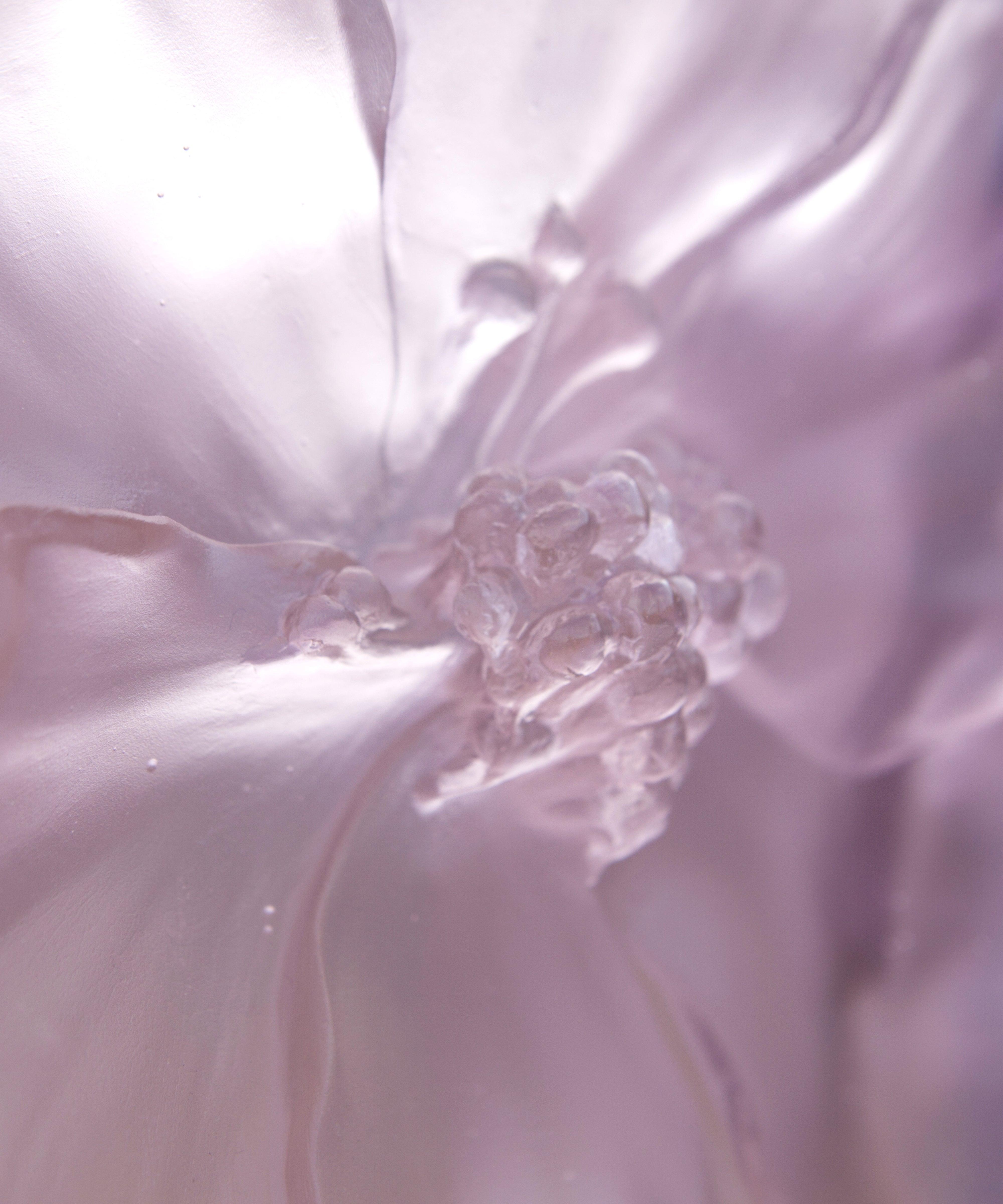 daum-univers-v-g-tal-camelia-vase-grand-mod-le-rose image 6
