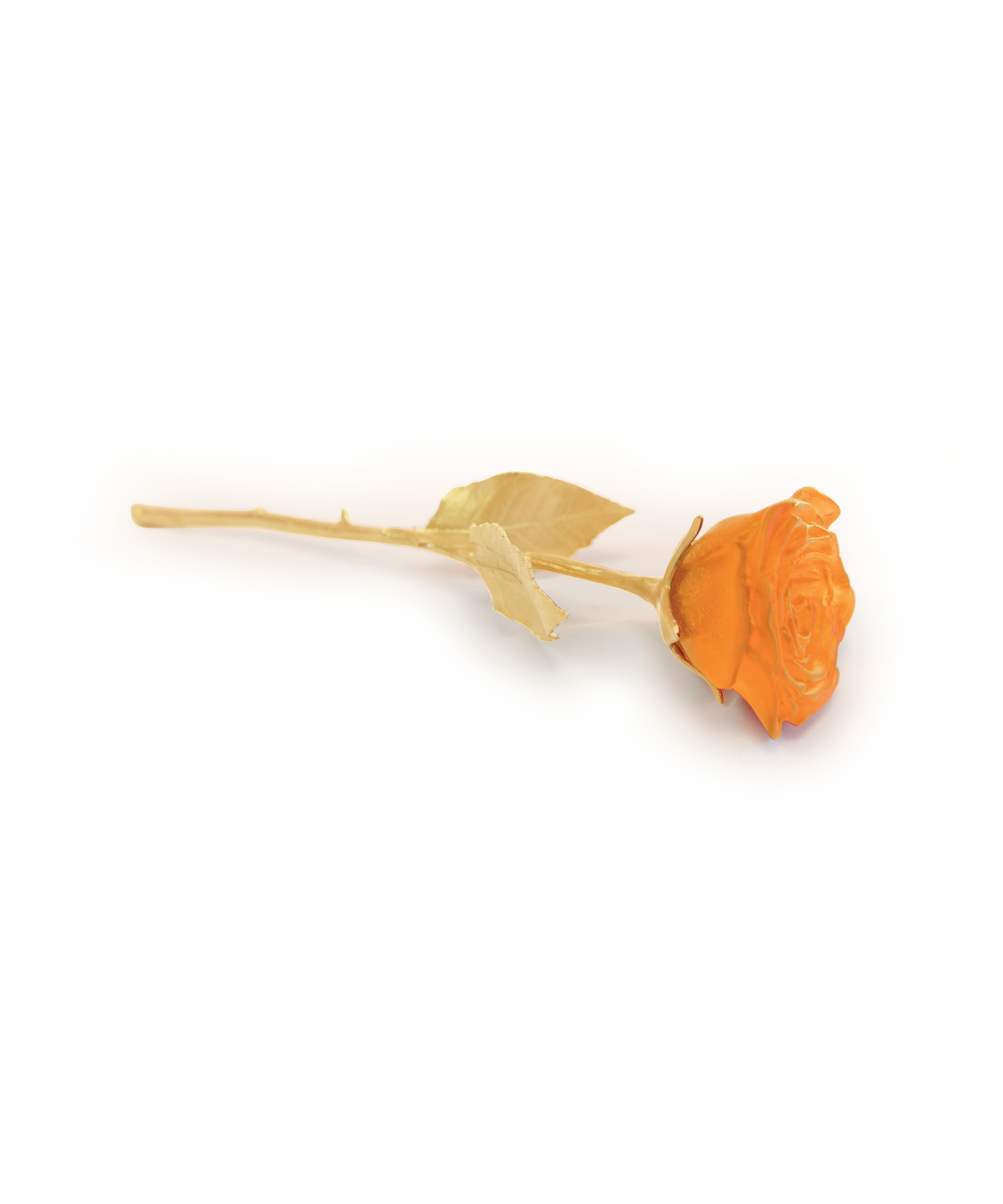 daum-univers-v-g-tal-rose-eternelle-orange-cristal image 1