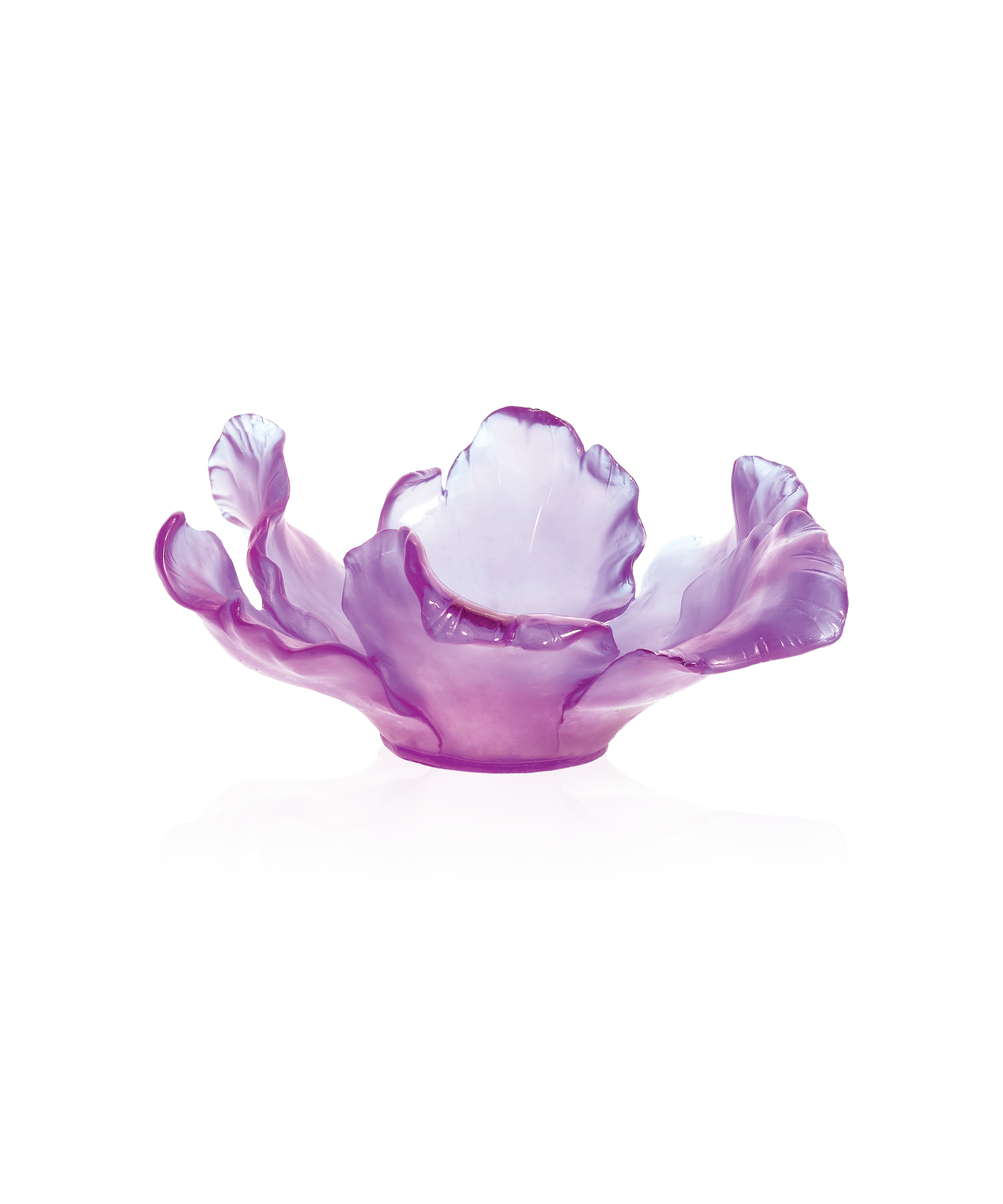 daum-univers-v-g-tal-tulipe-coupe-ultraviolet-cristal image 1