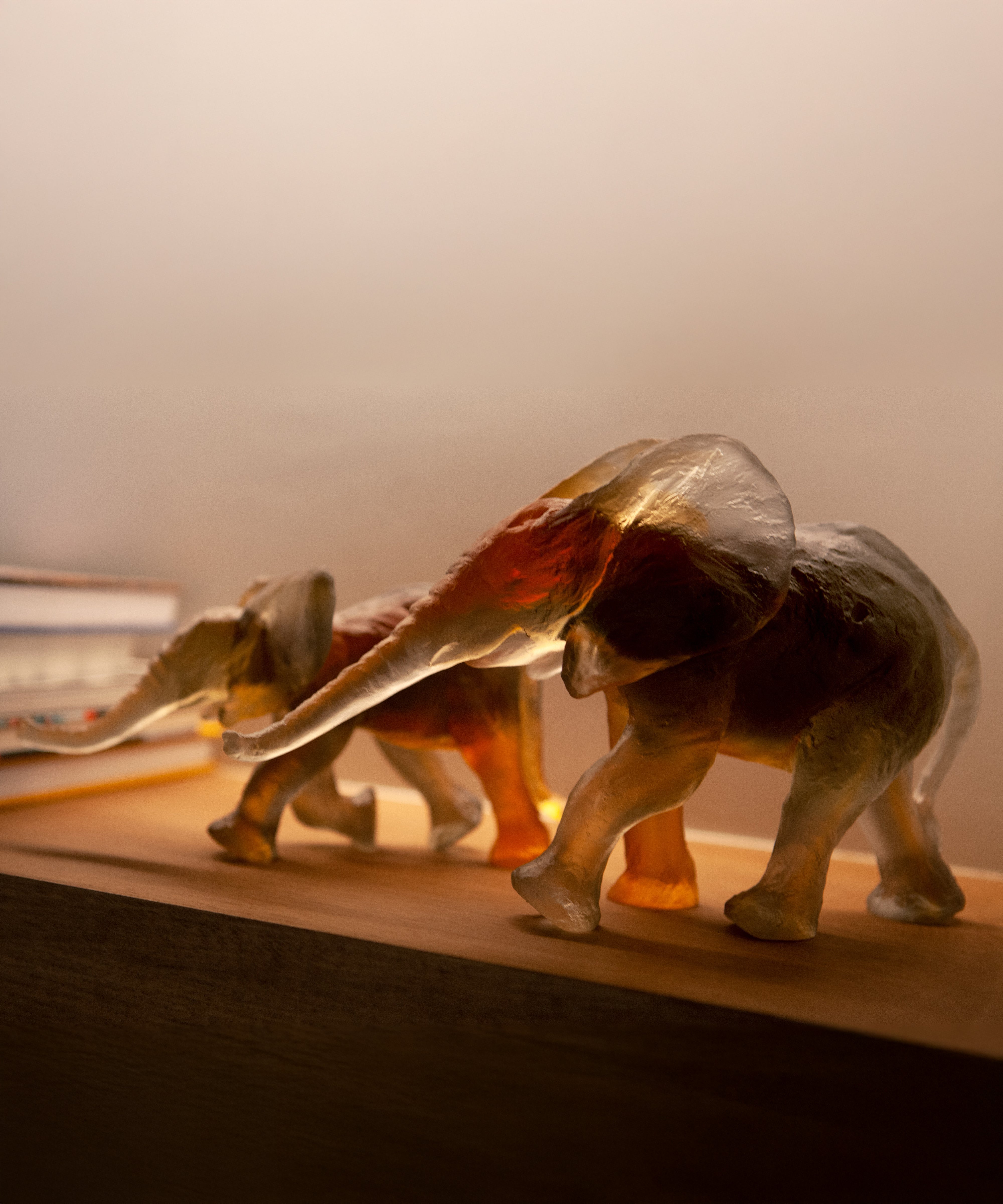 daum-univers-animalier-l-phant-savana-sculpture-cristal image 6