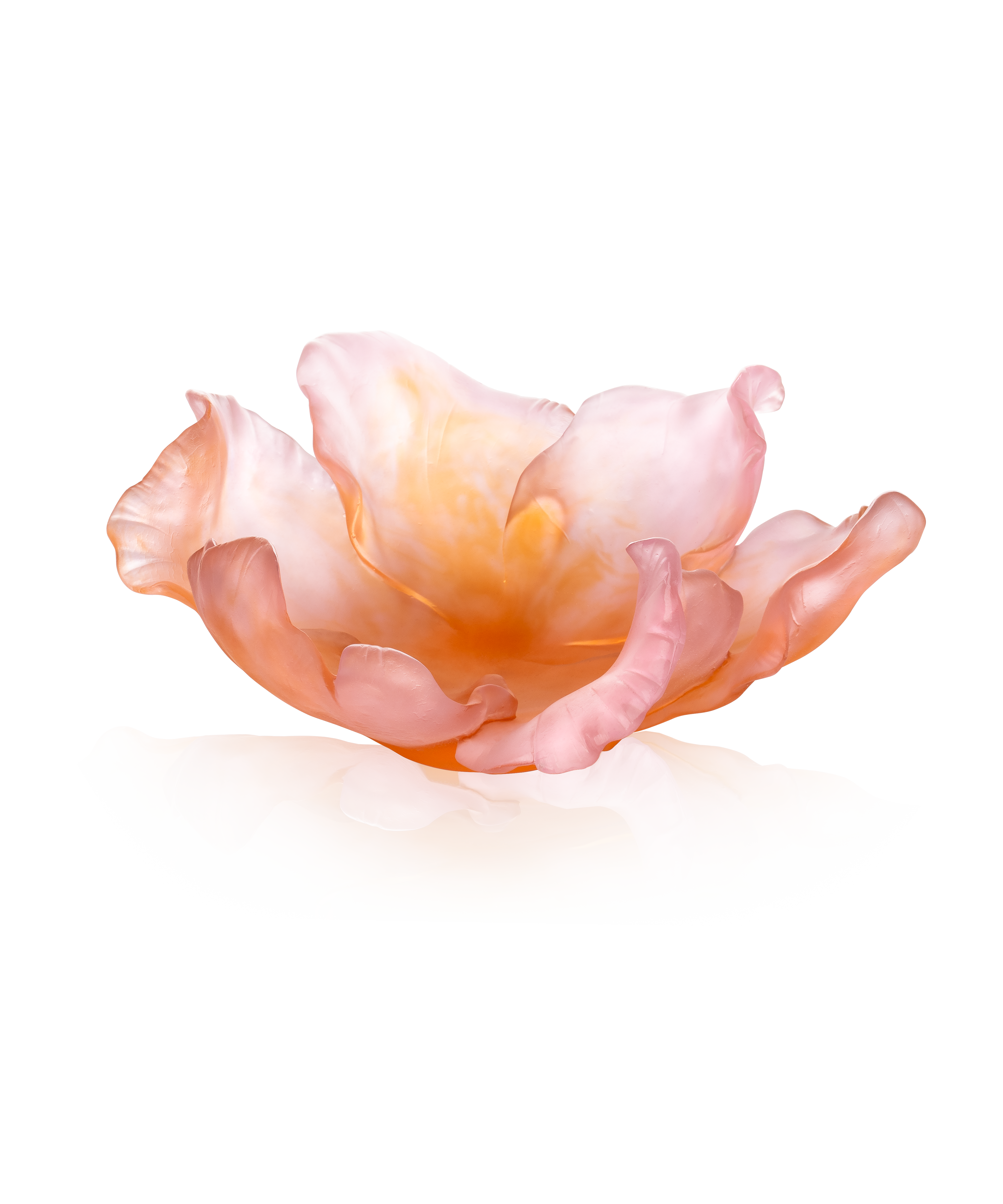 daum-univers-v-g-tal-tulipe-coupe-ambre-rose-99-ex image 1