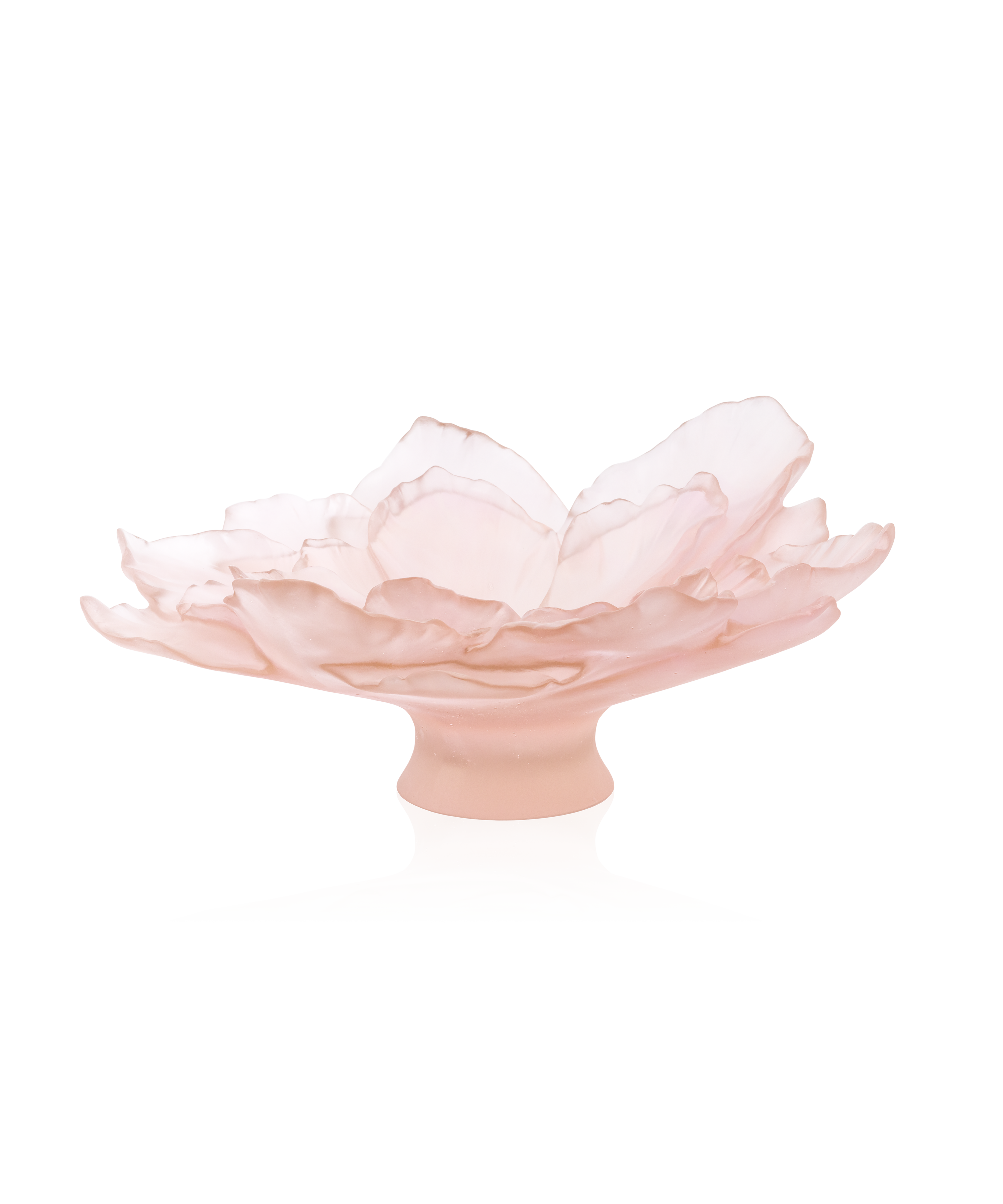 daum-univers-v-g-tal-camelia-coupe-grand-mod-le-rose image 3