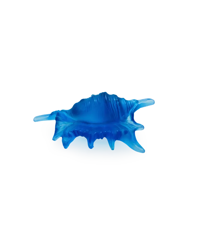 daum-mer-de-corail-coquillage-sculpture-petit-mod-le image 1
