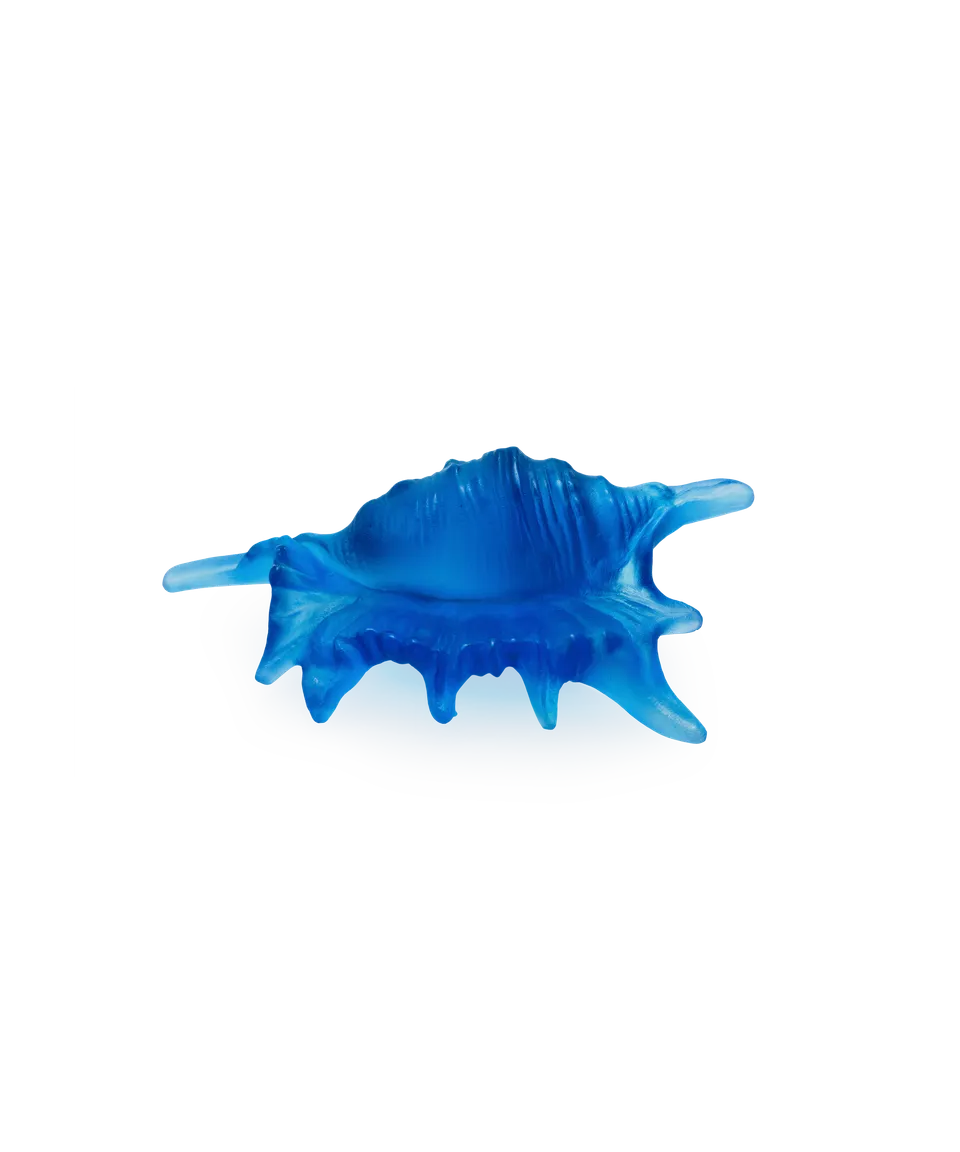 daum-mer-de-corail-coquillage-sculpture-petit-mod-le image 1