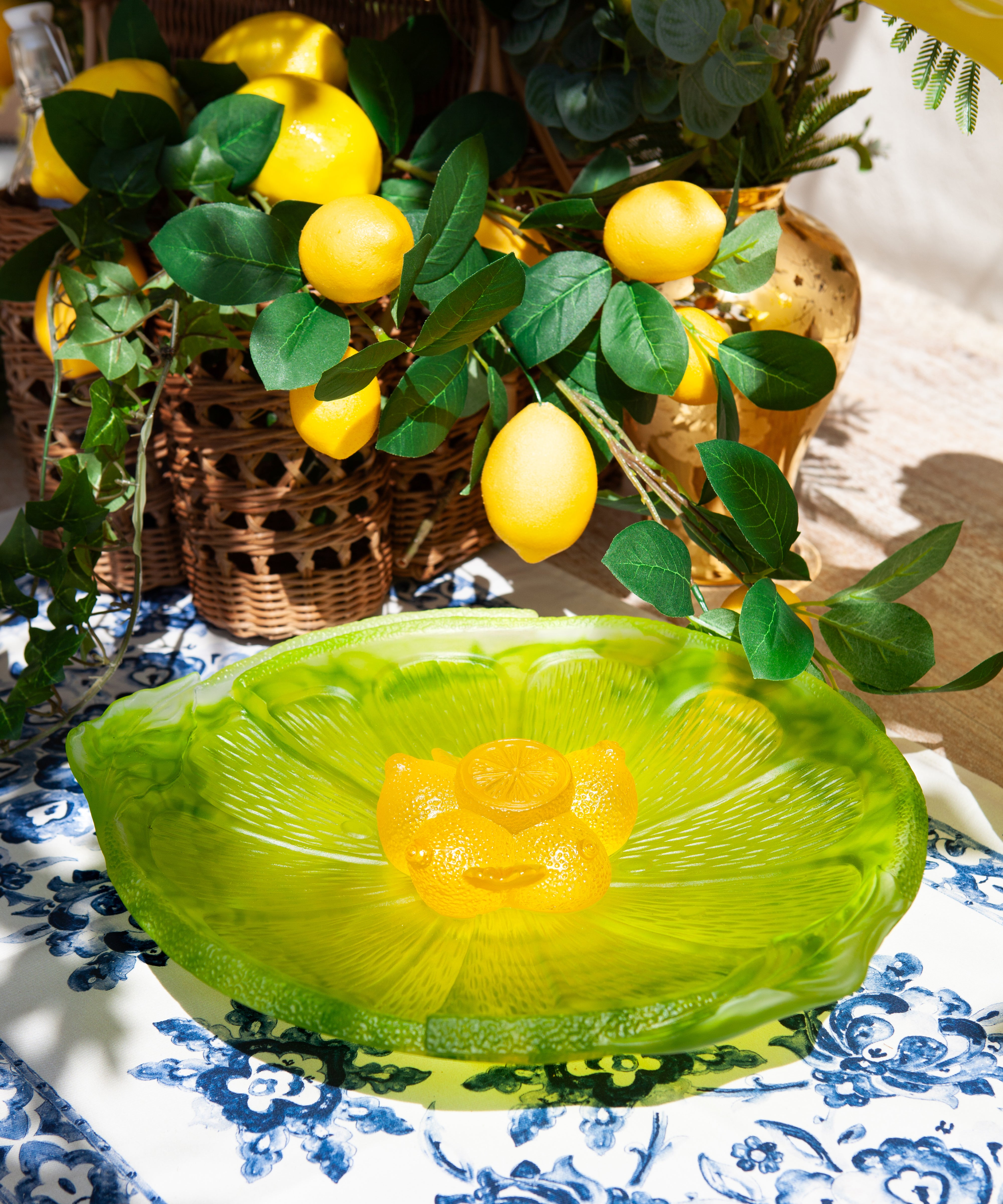 daum-univers-v-g-tal-citrus-coupe-sur-pied-225-ex image 2
