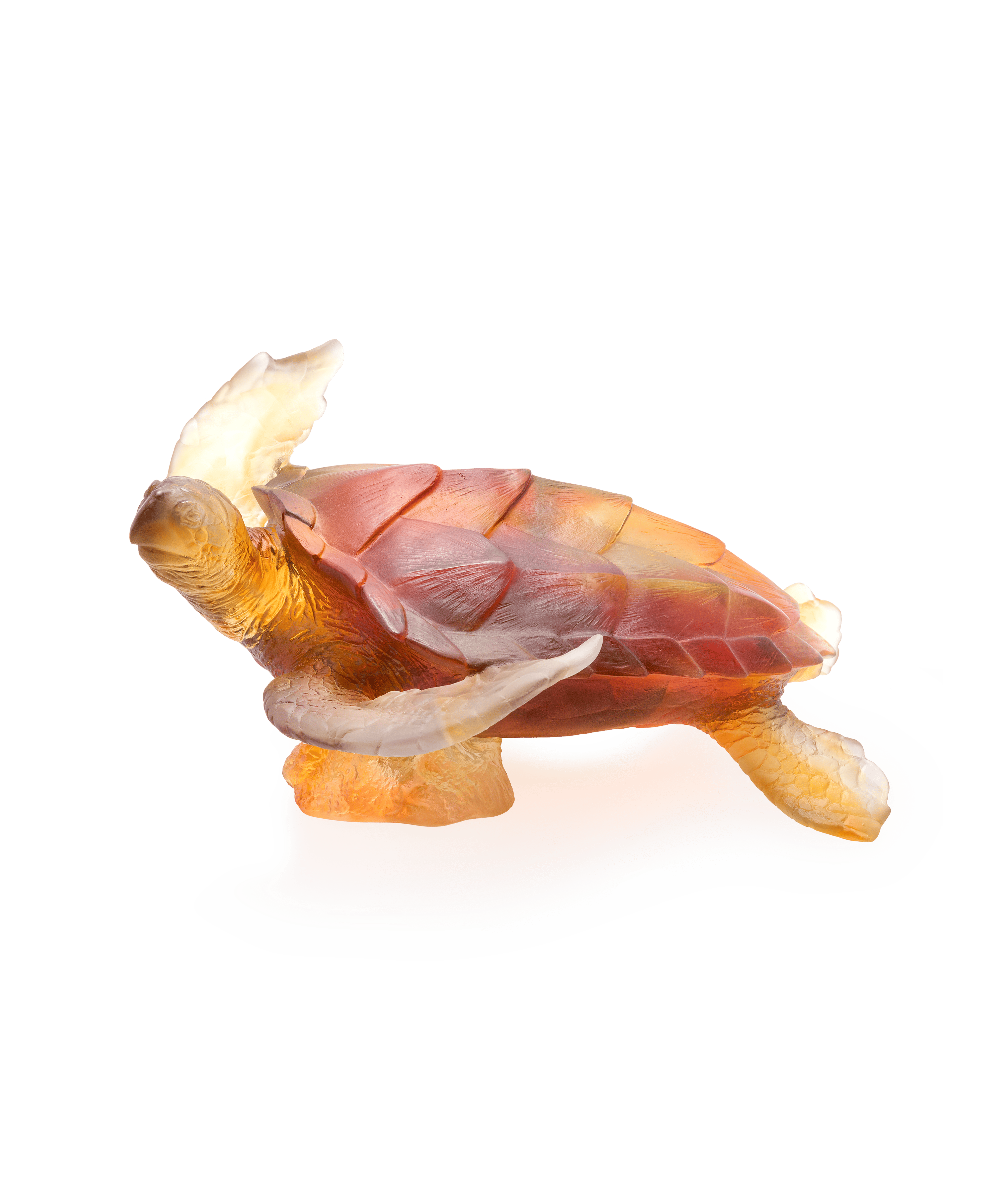 daum-univers-animalier-mer-de-corail-tortue-de-mer-sculpture-ambre image 1
