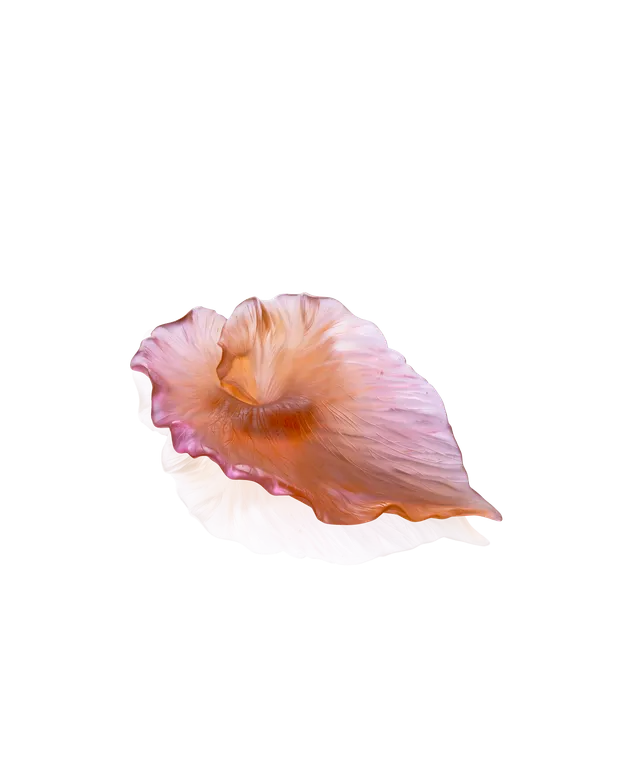 daum-univers-v-g-tal-arum-coupe-ambre-rose-p-te-de-verre image 1