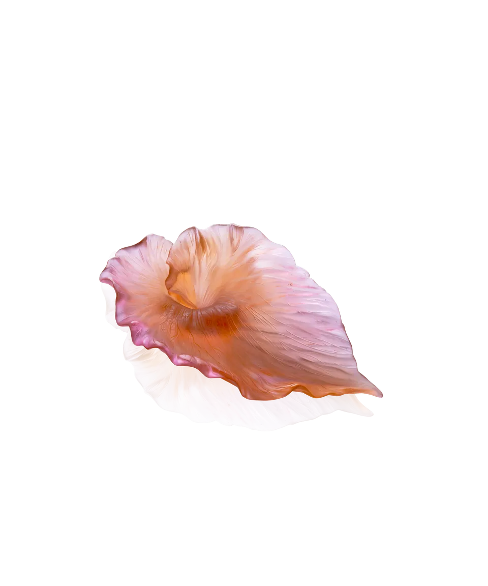 daum-univers-v-g-tal-arum-coupe-ambre-rose-p-te-de-verre image 1