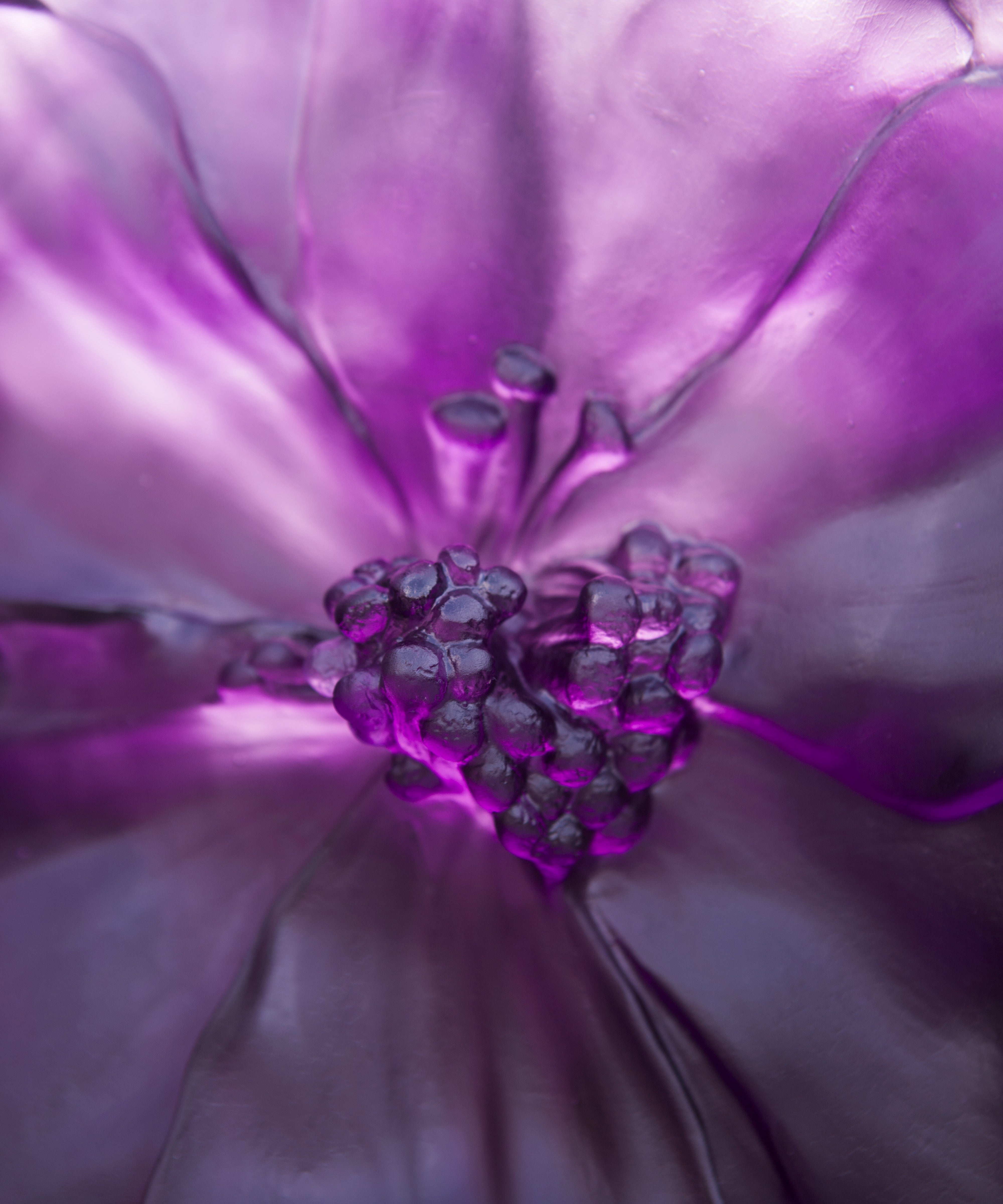 daum-univers-v-g-tal-camelia-vase-grand-mod-le-violet-cristal image 4