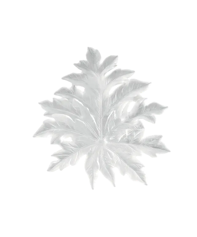 daum-univers-v-g-tal-born-o-feuille-murale-blanche-petit-mod-le image 1