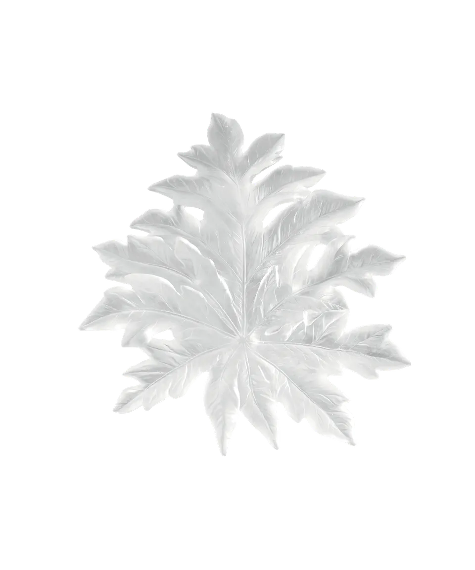 daum-univers-v-g-tal-born-o-feuille-murale-blanche-petit-mod-le image 1