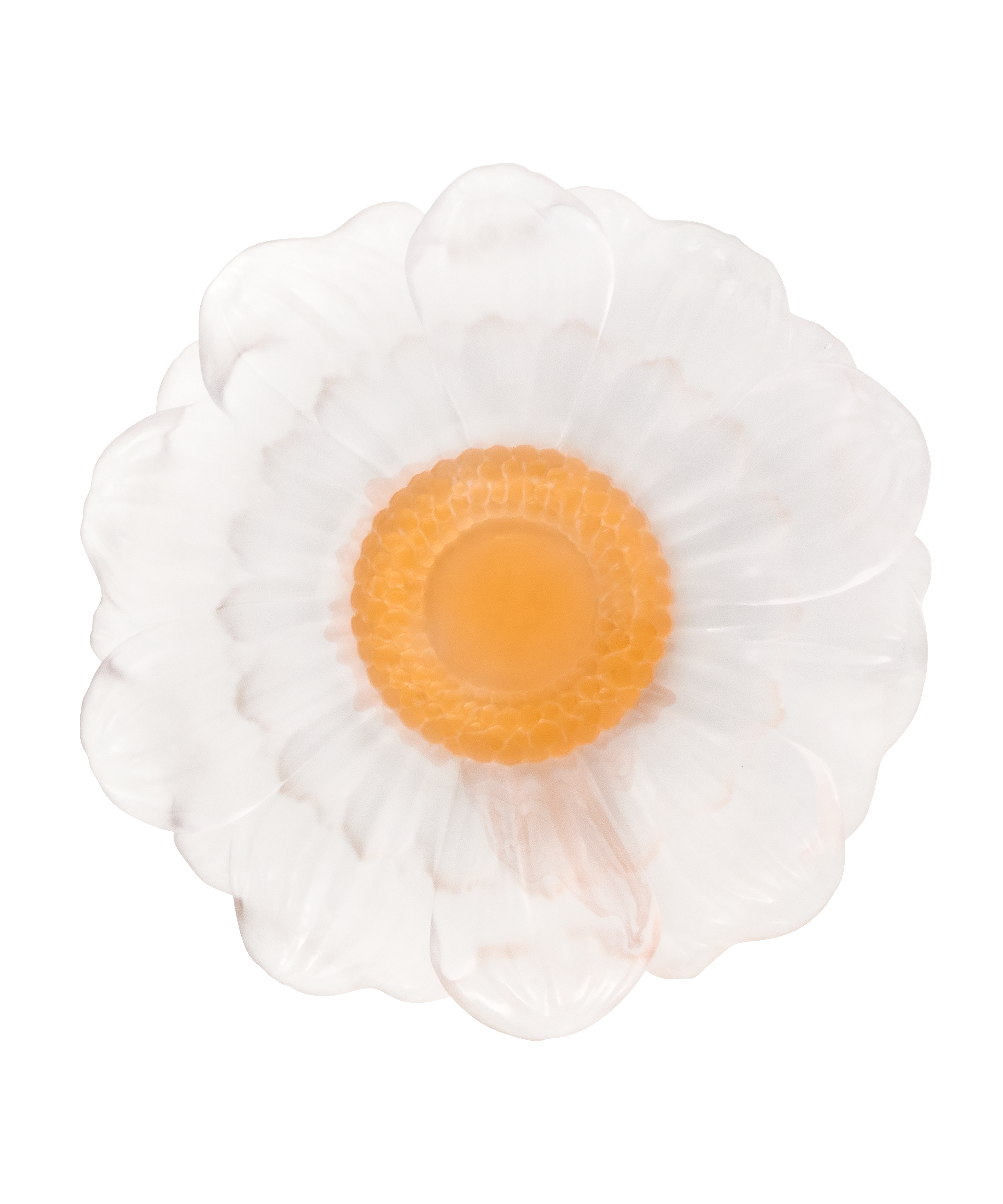 daum-or-d-abeille-fleur-pr-sentation-blanche-moyen-mod-le image 2