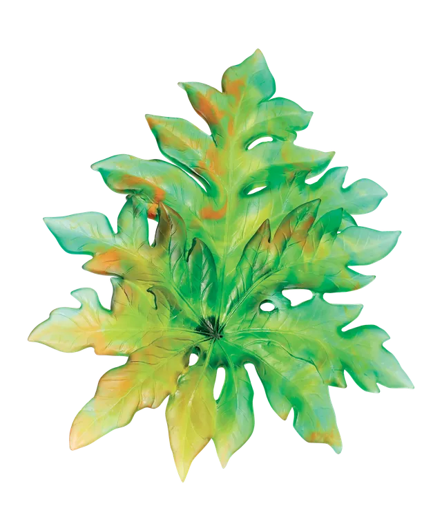daum-univers-v-g-tal-born-o-feuille-murale-verte-grand-mod-le image 1