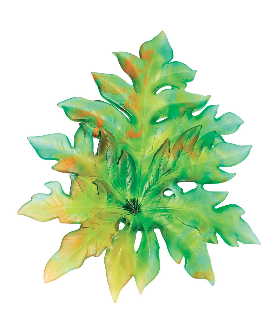 daum-univers-v-g-tal-born-o-feuille-murale-verte-grand-mod-le image 1