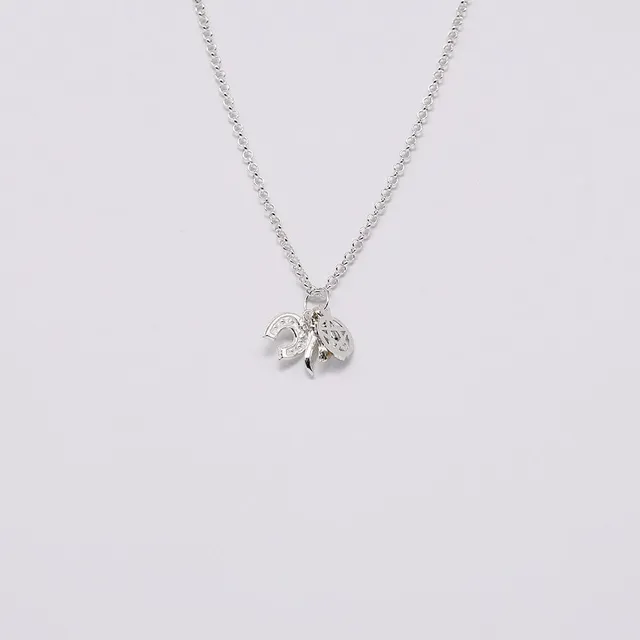 luisa-paix-o-ensemble-5-charms-argent-porte-bonheur image 1