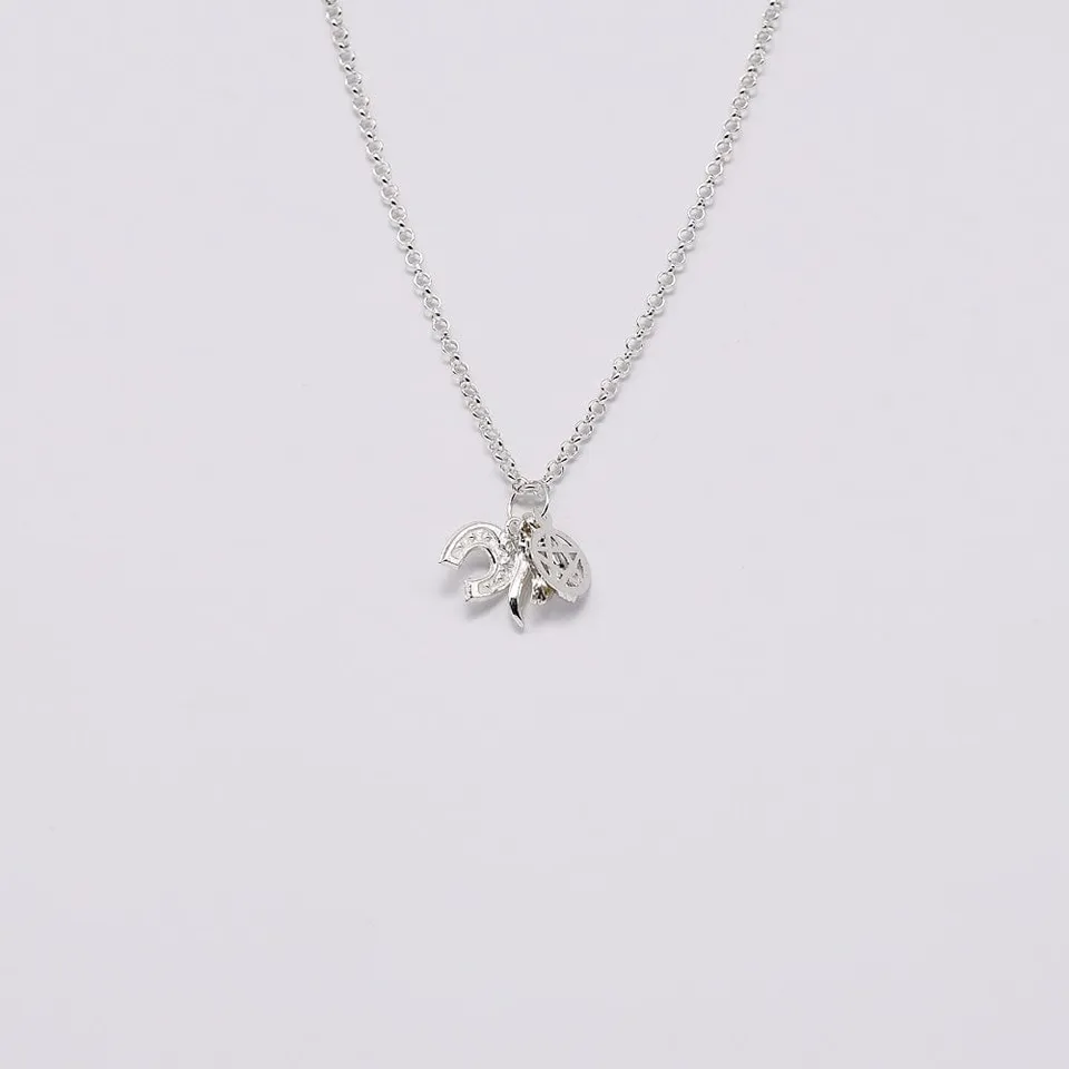 luisa-paix-o-ensemble-5-charms-argent-porte-bonheur image 1