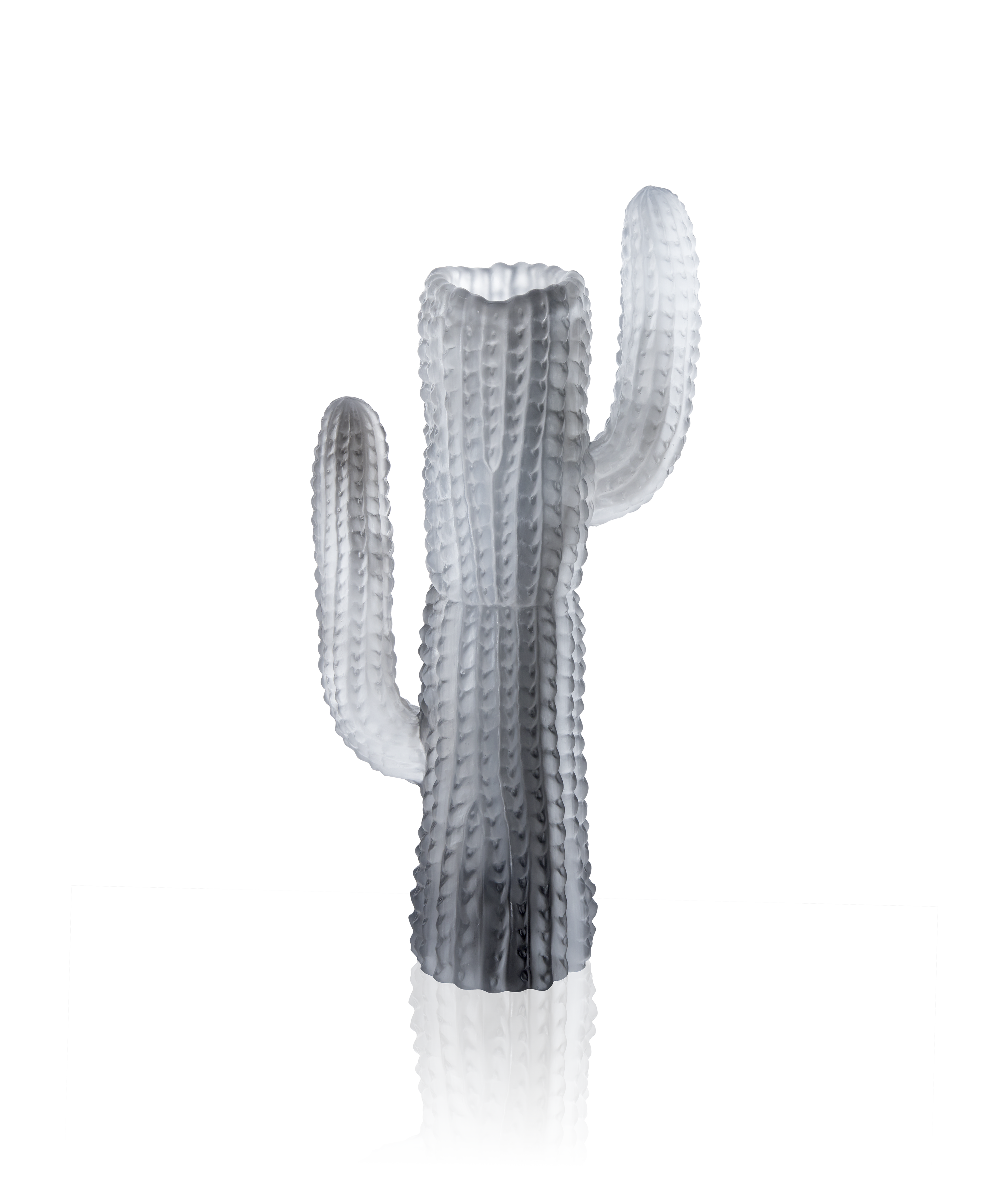 daum-jardin-de-cactus-vase-gris-emilio-robba image 1